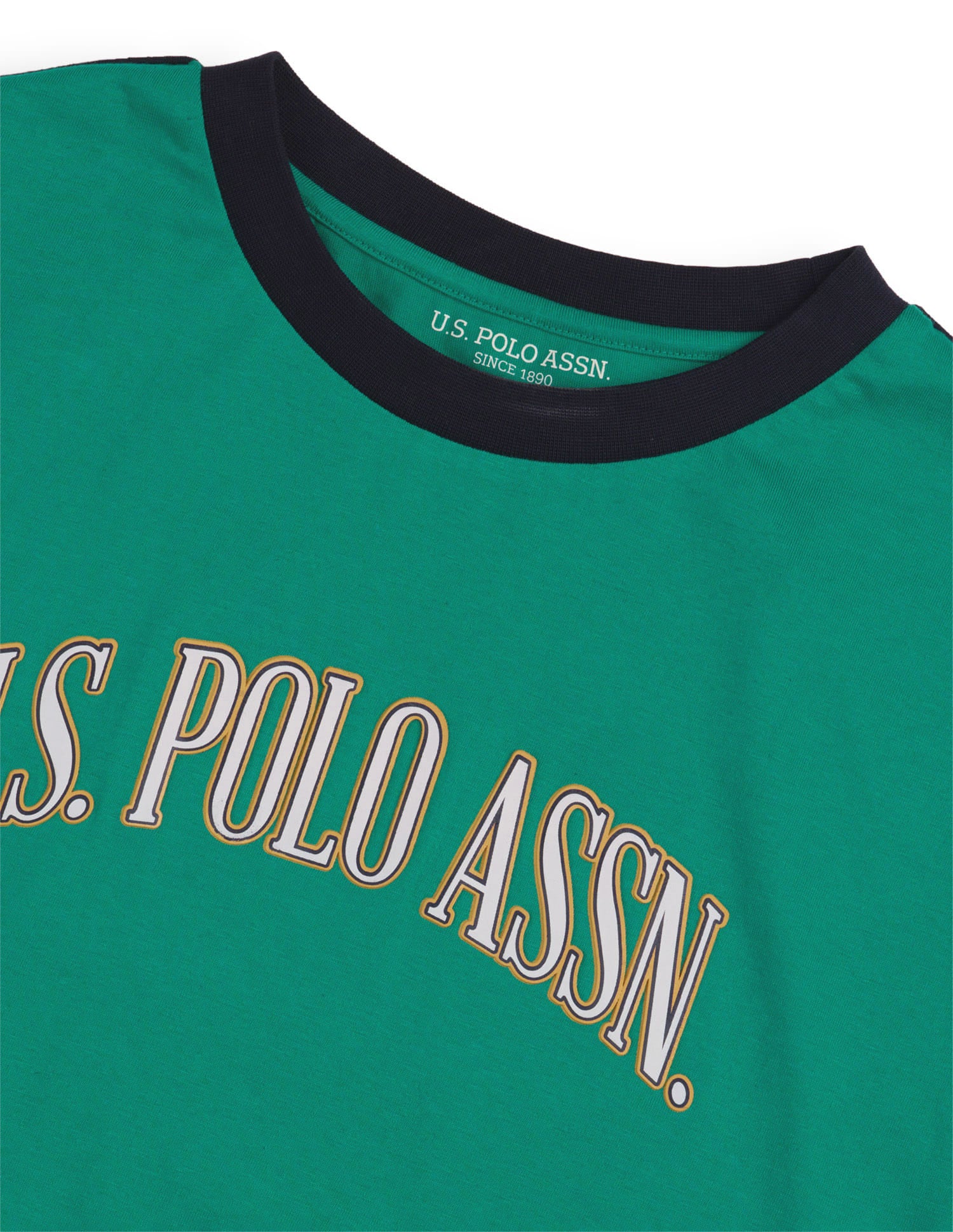 Brand Printed Regular Fit T-Shirt Green - U.S. Polo Assn. India | Large