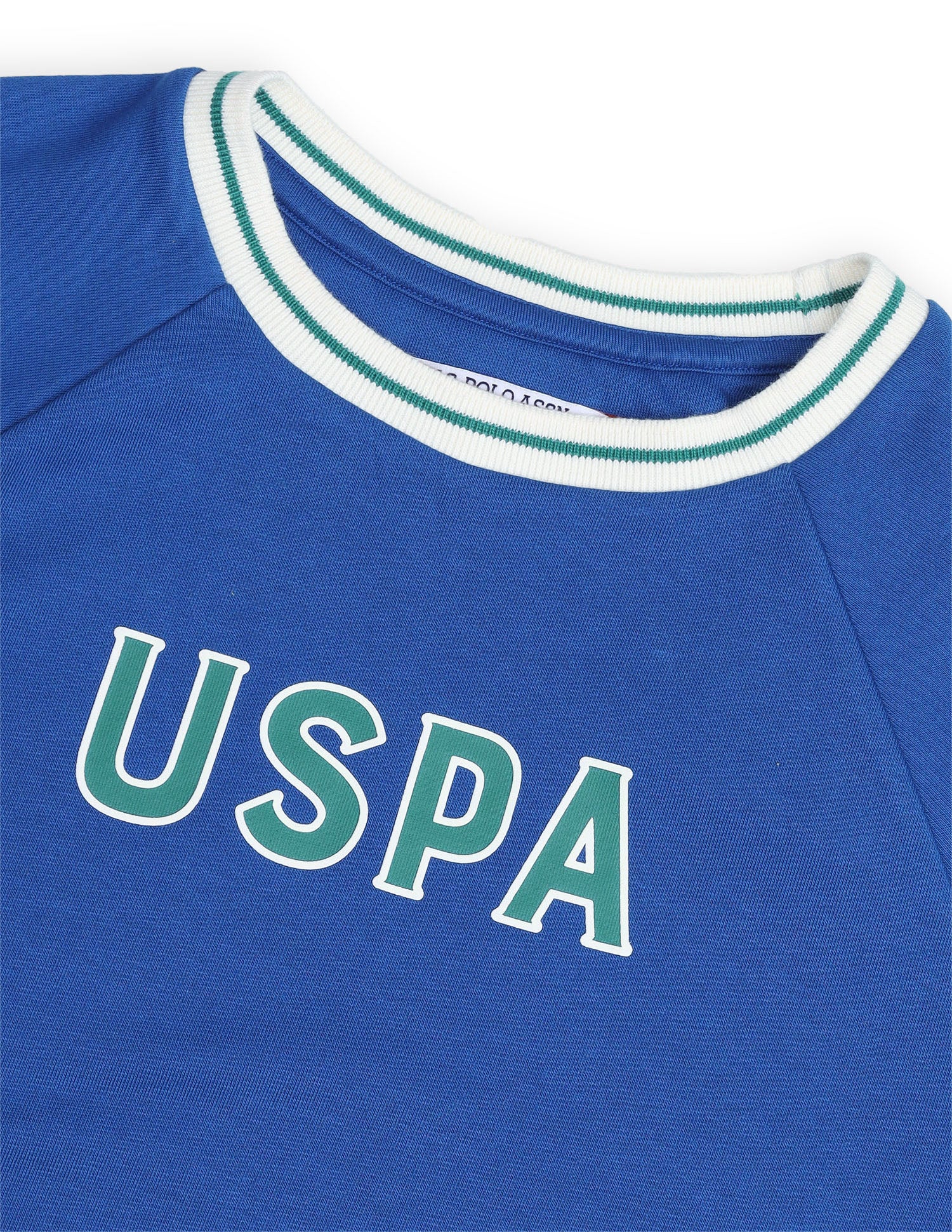 Brand Printed Regular Fit Sweatshirt Blue - U.S. Polo Assn. India | Large