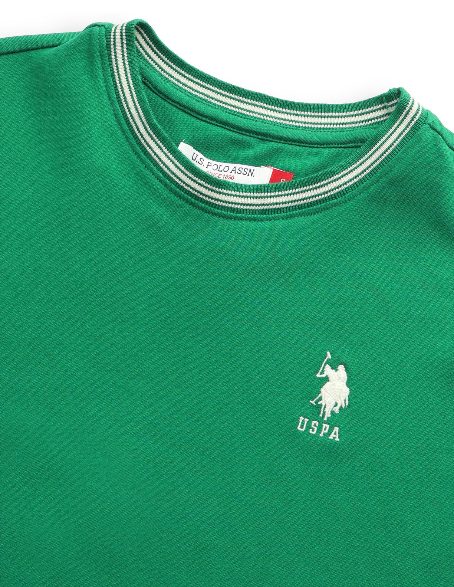 Solid Relaxed Fit Sweatshirt Green - U.S. Polo Assn. India | Large