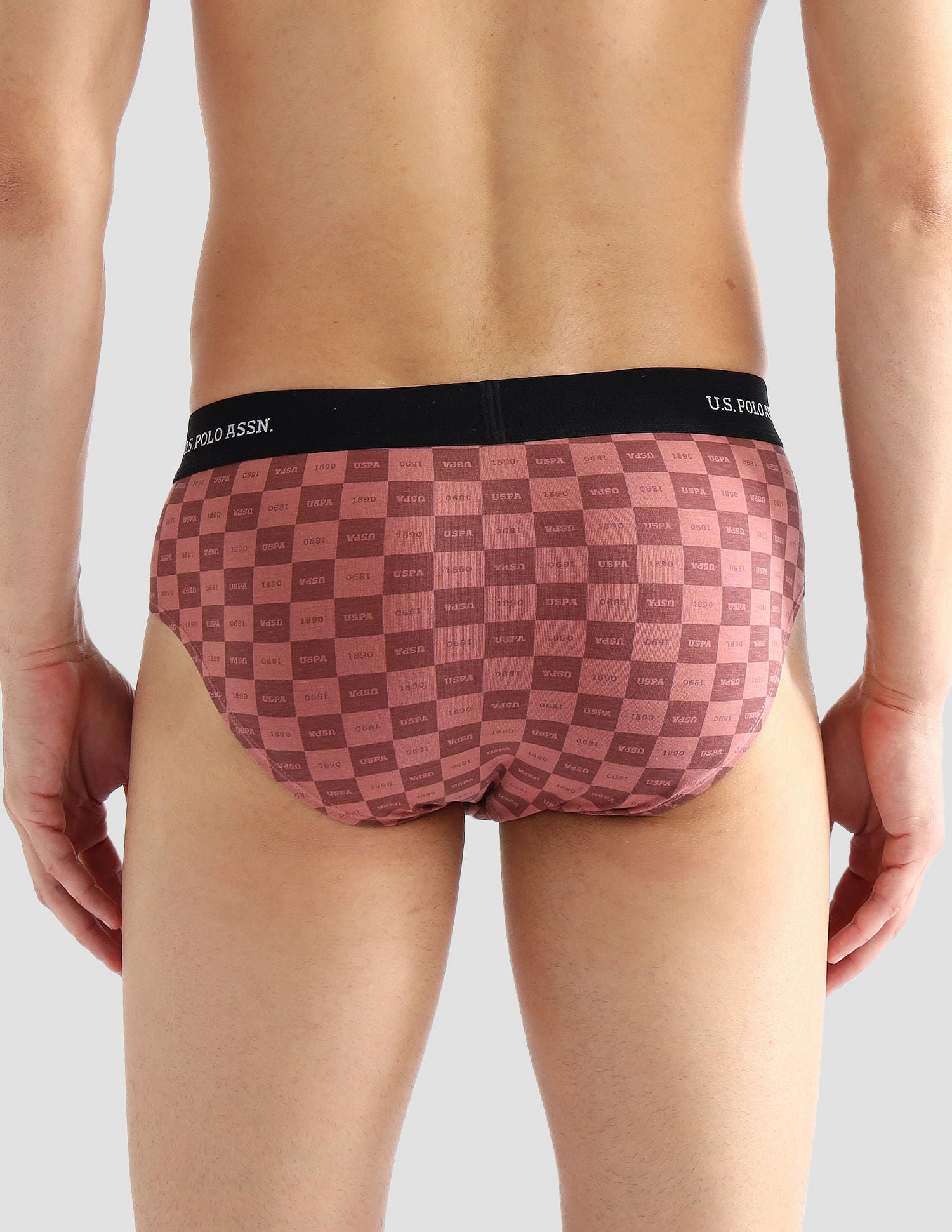 Elasticized Waist Solid OEB14 Briefs - Pack Of 3 Old Rose, Iced Coffee and White - U.S. POLO ASSN. | Large