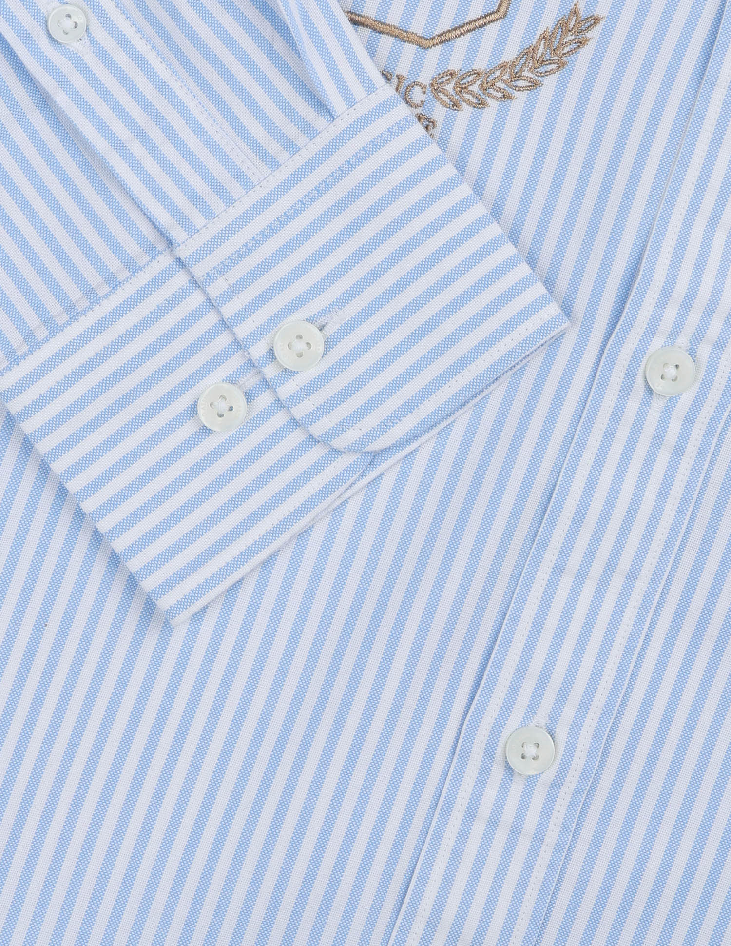 Oxford Vertical Striped Shirt Blue - U.S. POLO ASSN. | Large