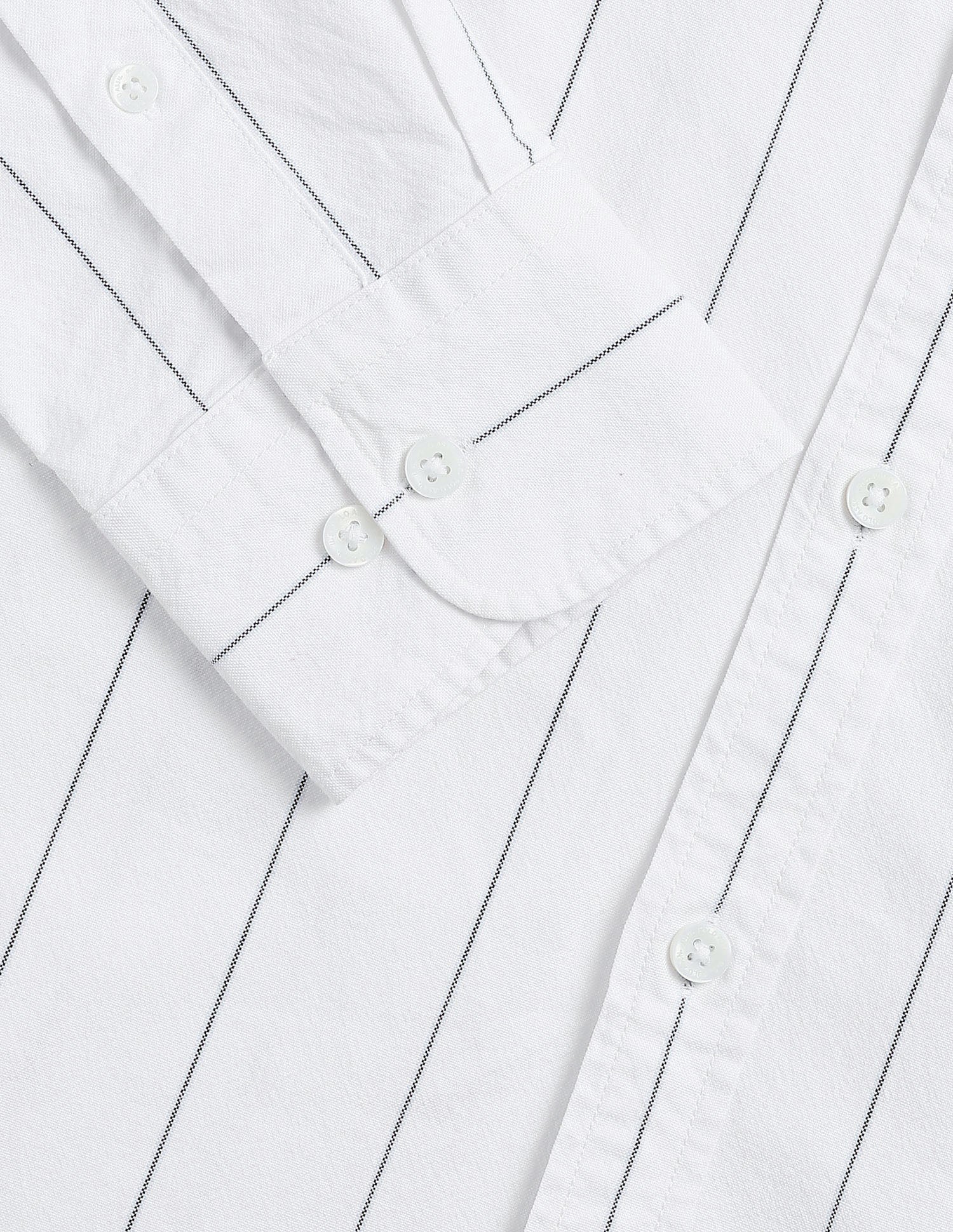 Vertical Striped Oxford Shirt Blue - U.S. Polo Assn. India | Large