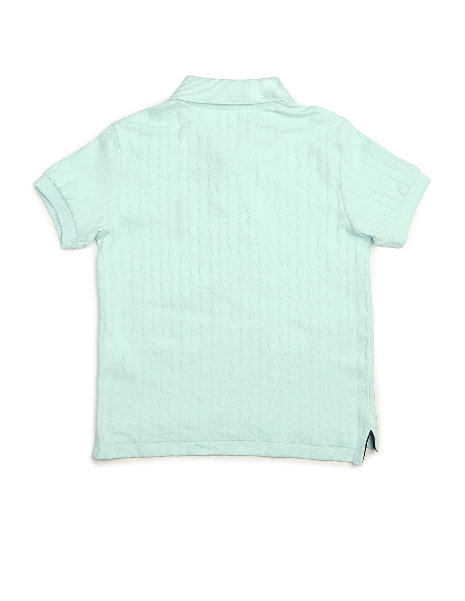 Boys Textured Pure Cotton Polo Shirt Light Green - U.S. POLO ASSN. | Large