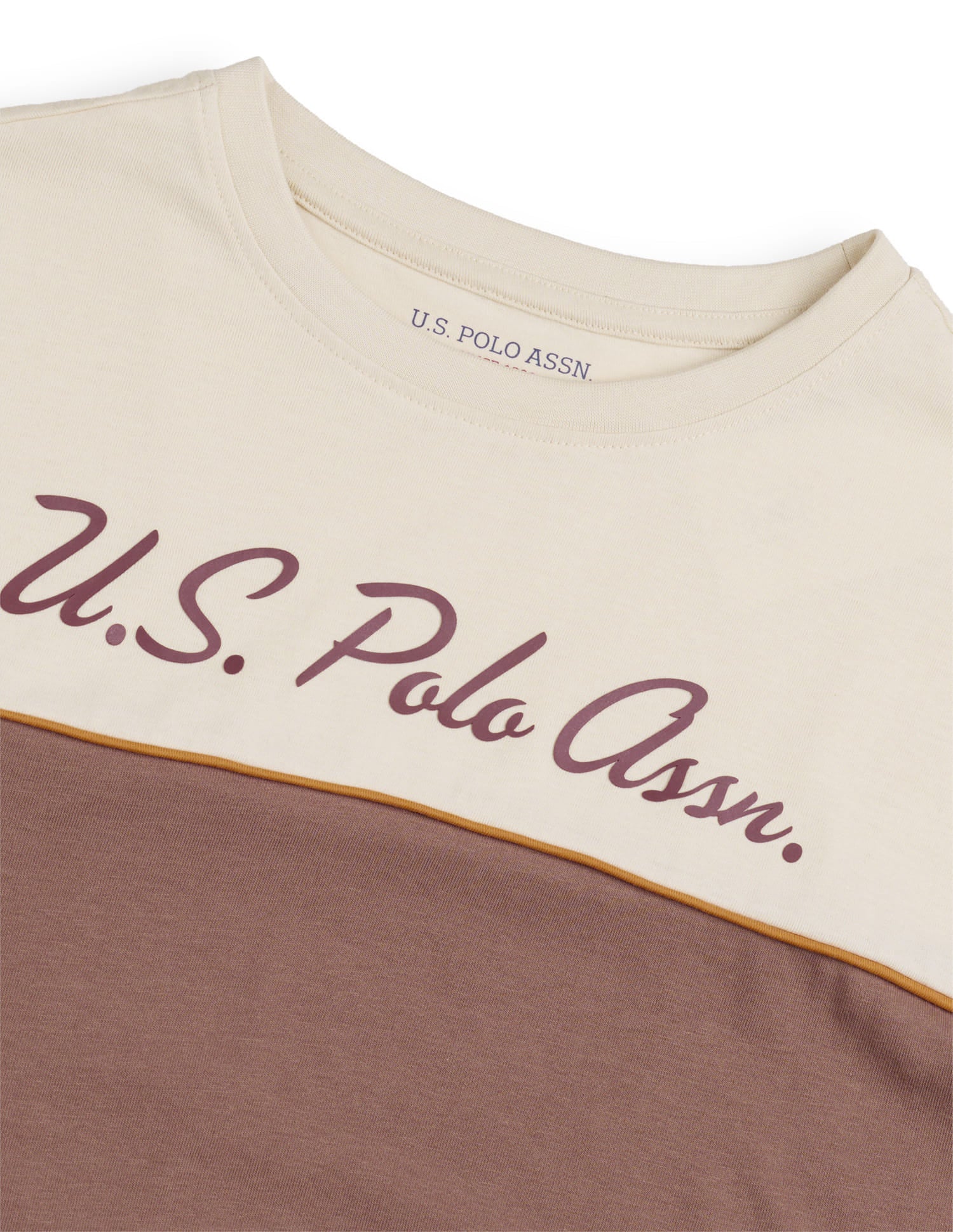 Colourblocked Relaxed T-Shirt Brown - U.S. Polo Assn. India | Large