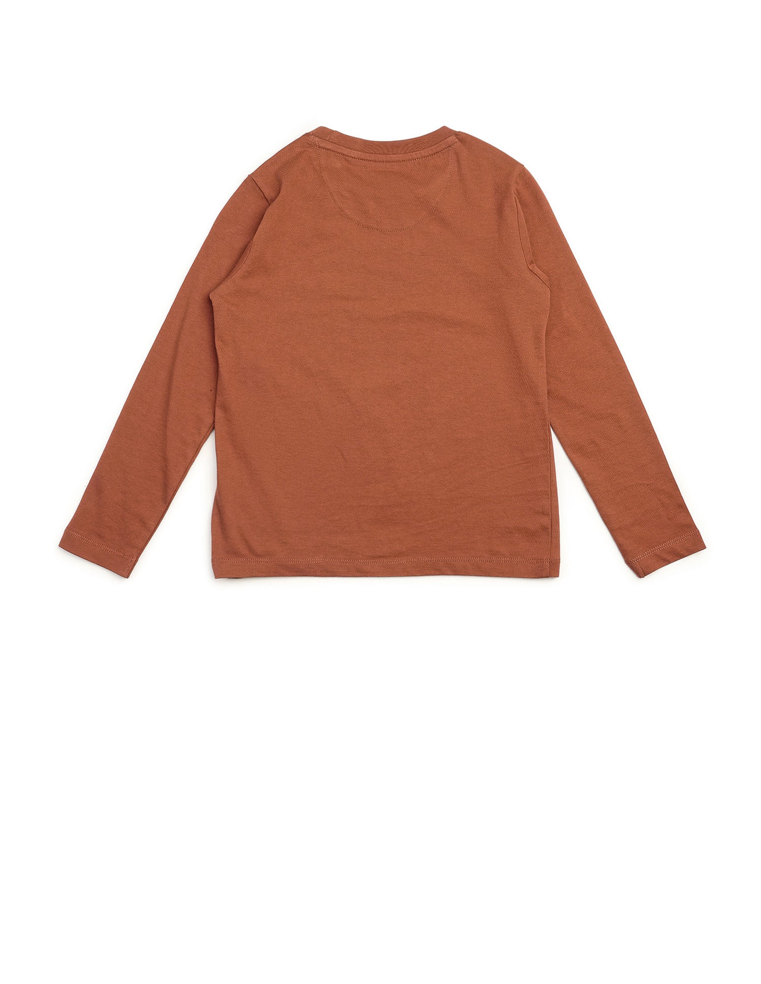 Boys Graphic Brand Printed Regular Fit T Shirt Dark Brown - U.S. POLO ASSN. | Large