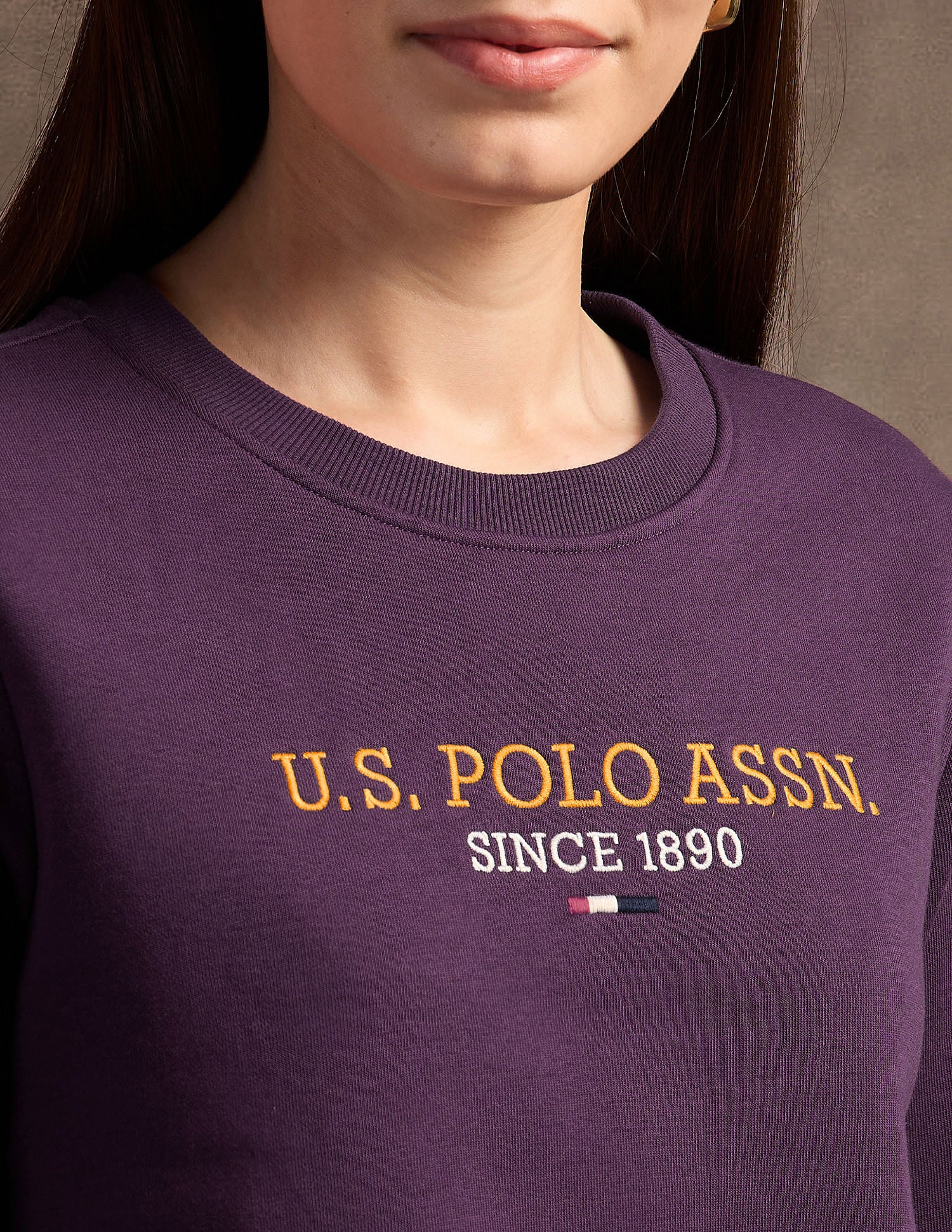Hd Print Regular Fit Sweatshirt Wine - U.S. Polo Assn. India | Large