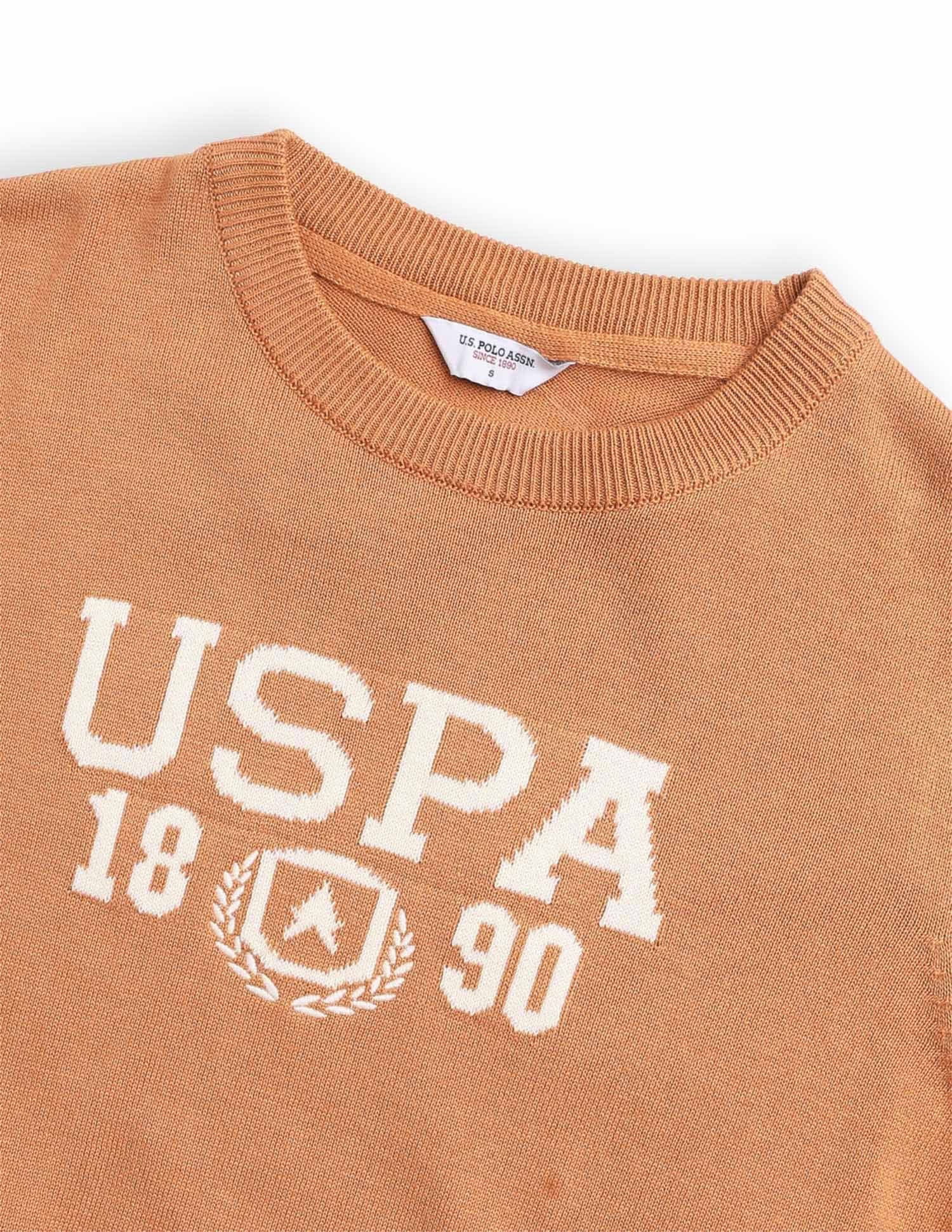 Brand Printed Regular Fit Sweater Brown - U.S. POLO ASSN. | Large
