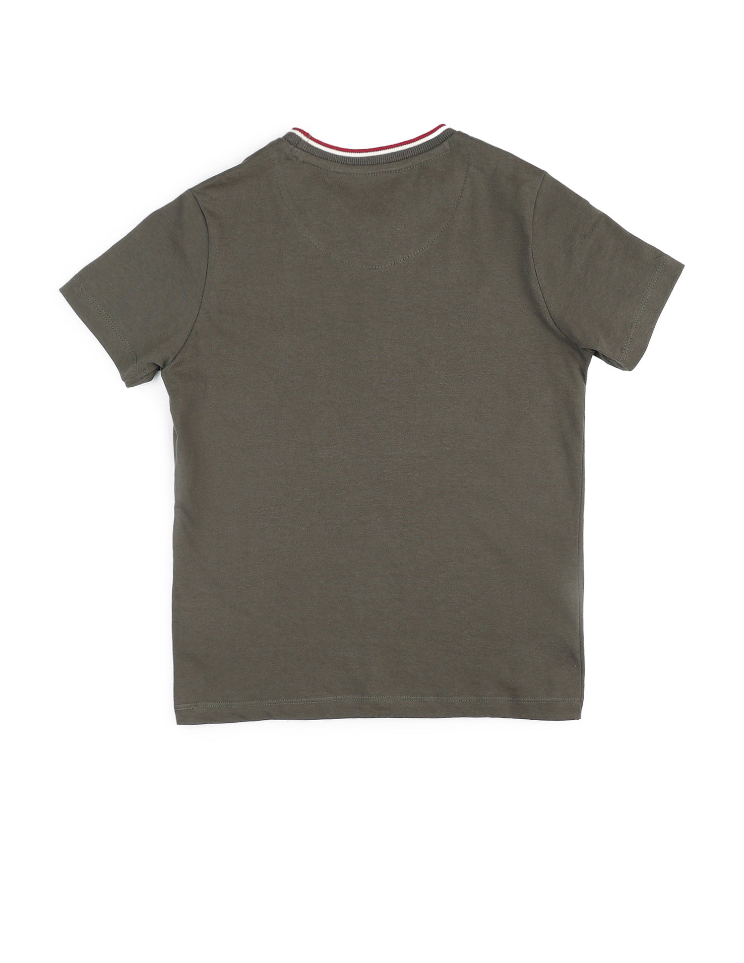 Boys Regular Fit Pure Cotton T-Shirt Green - U.S. POLO ASSN. | Large