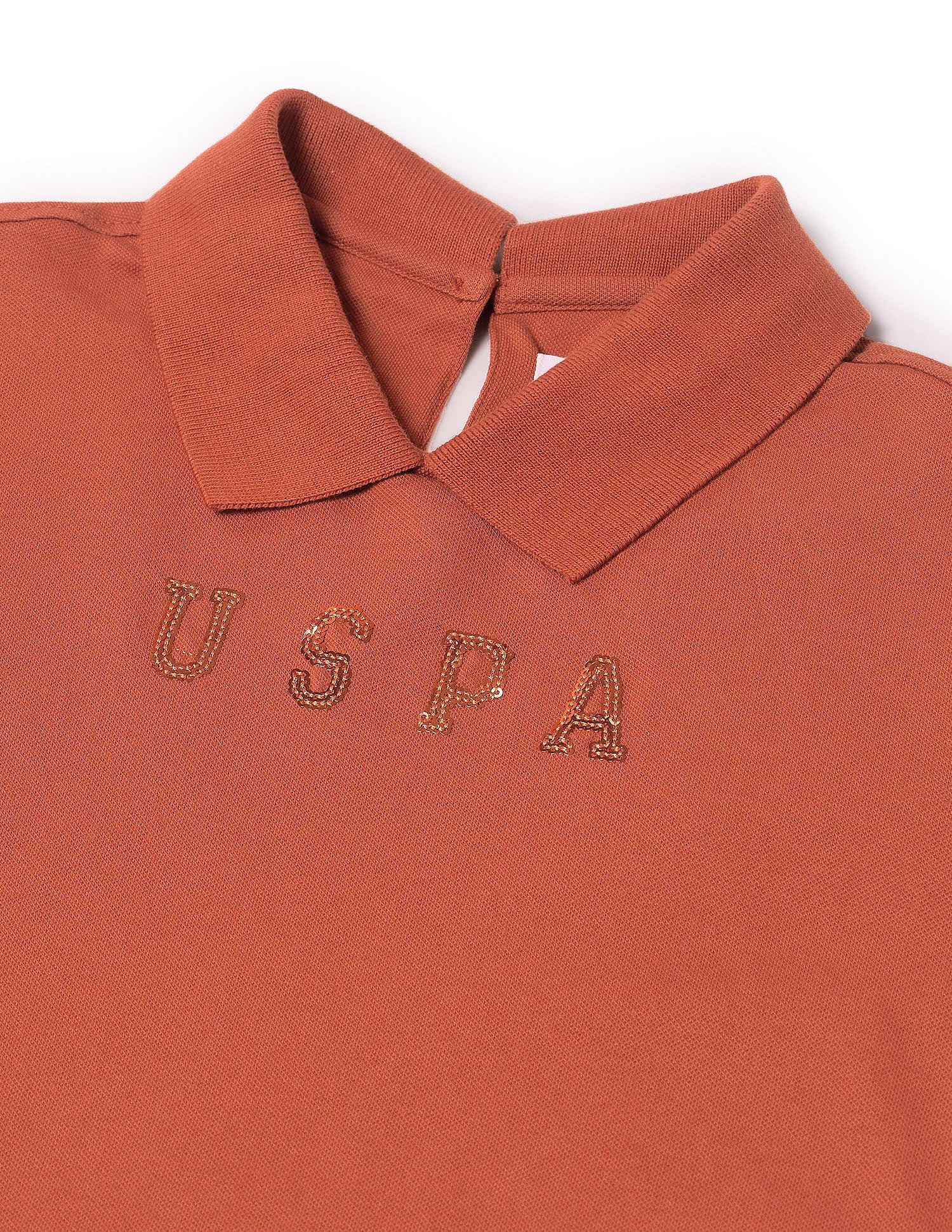 Brand Regular Fit Polo Shirt Light Brown - U.S. POLO ASSN. | Large