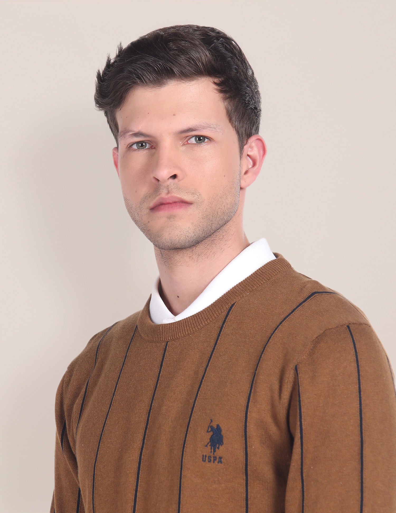 Crew Neck Vertical Stripe Sweater Brown - U.S. POLO ASSN. | Large
