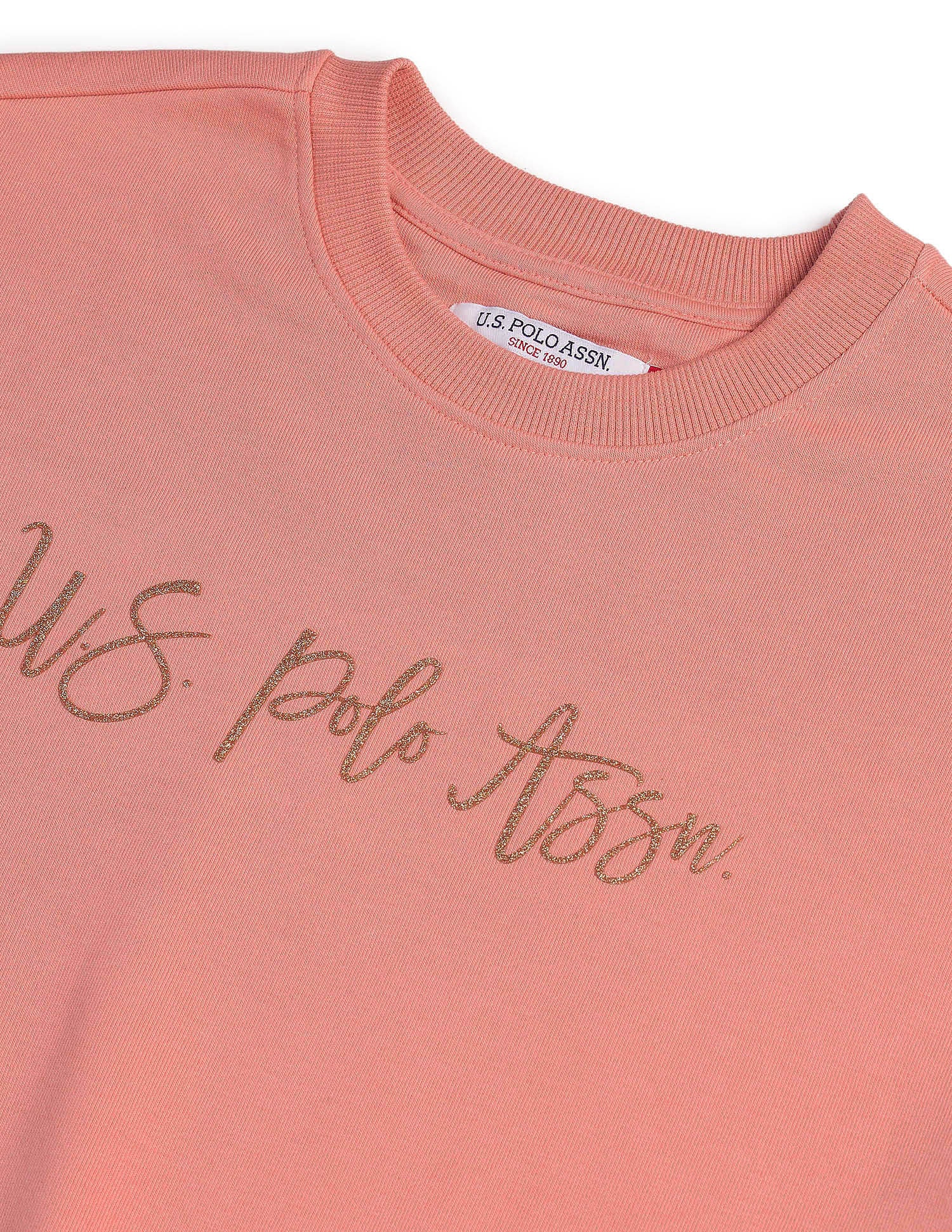 Drop Shoulder Glitter Print Sweatshirt Peach - U.S. POLO ASSN. | Large