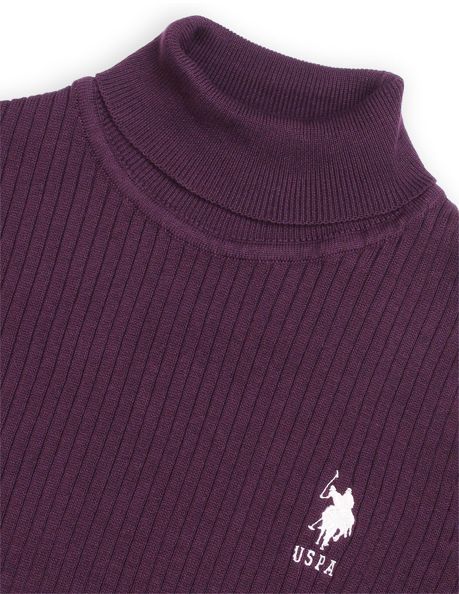 Vertical Striped Patterned Sweater Wine - U.S. Polo Assn. India | Large