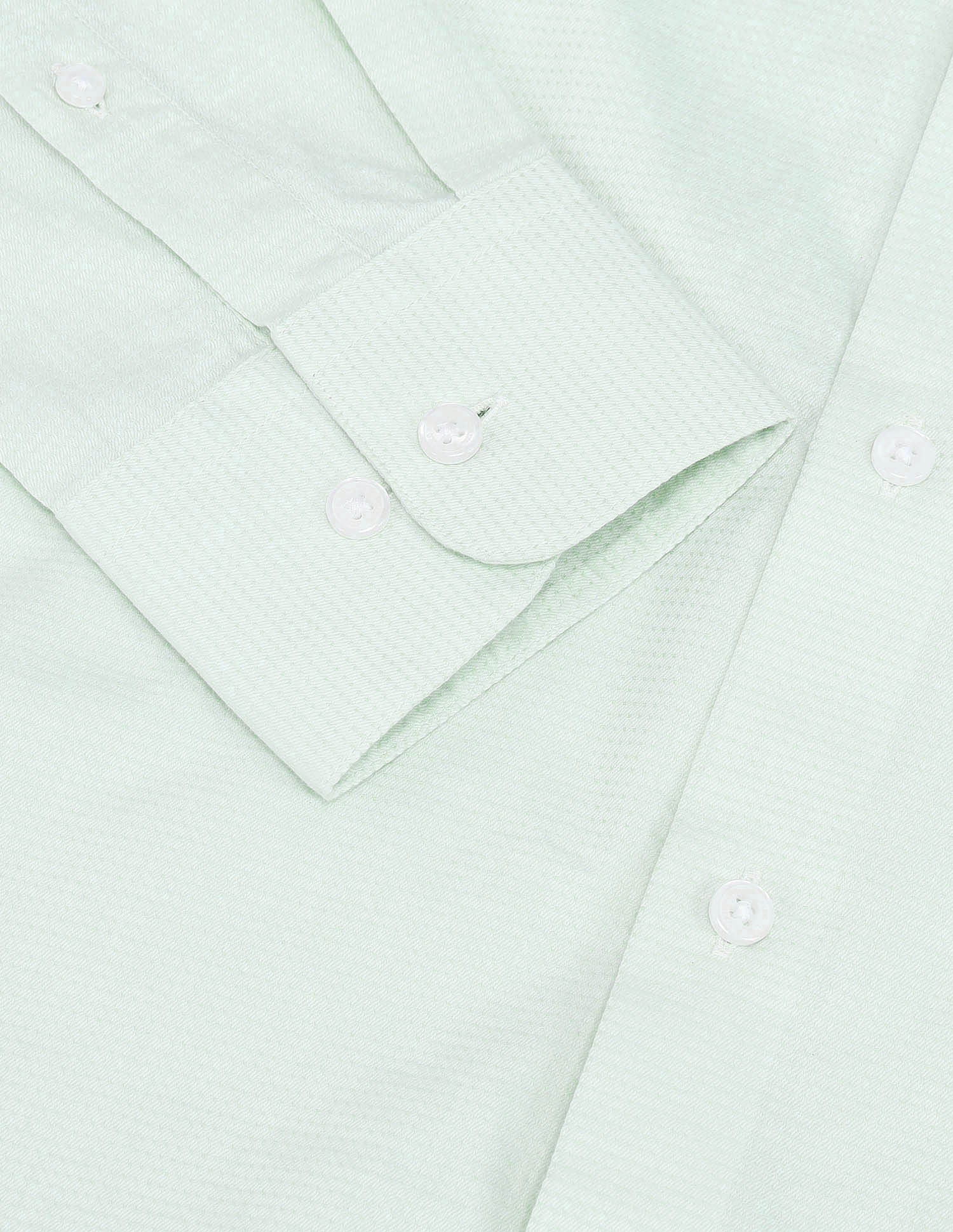 Tailored Fit Pure Cotton Shirt Light Green - U.S. Polo Assn. India | Large