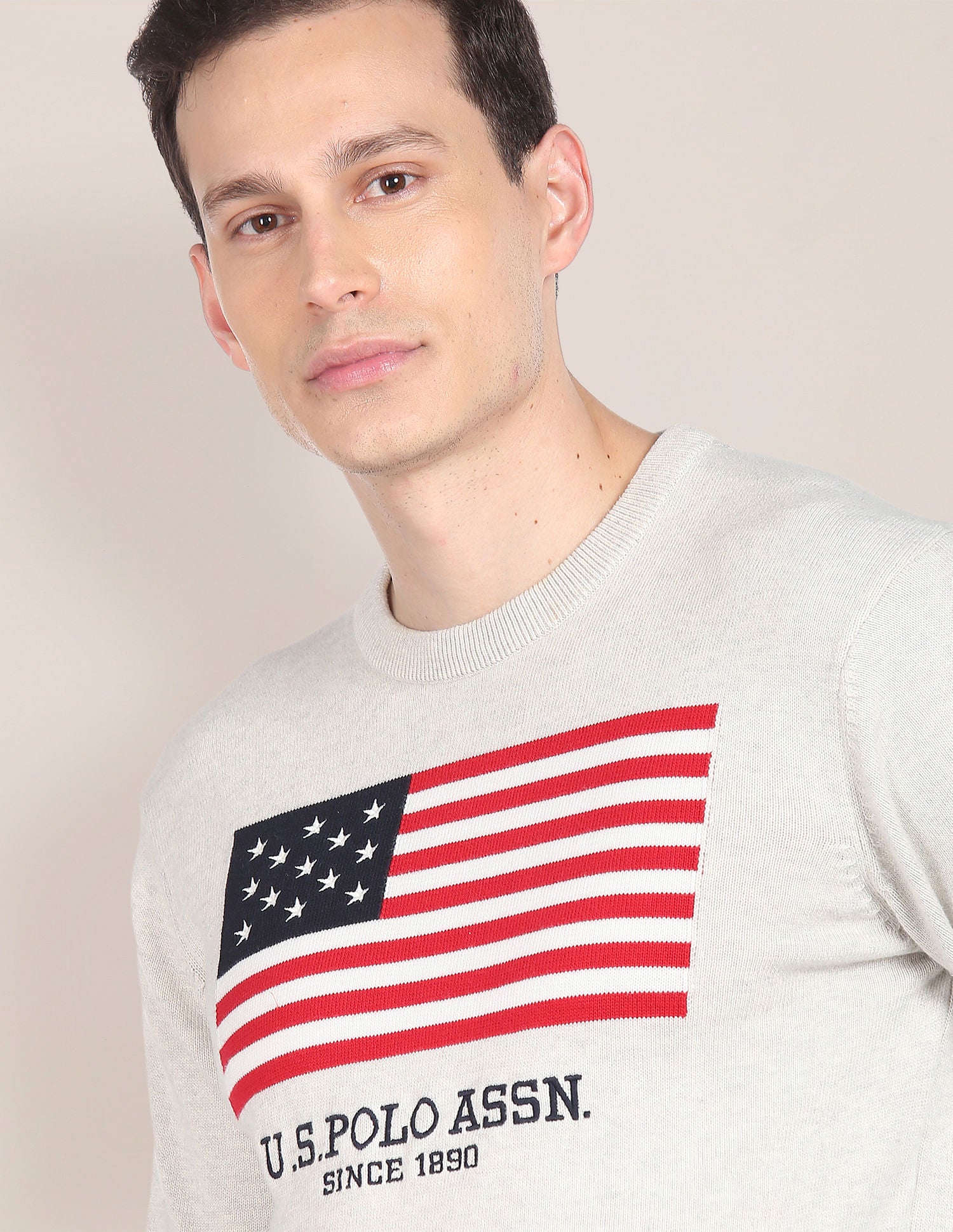 Crew Neck Heathered Patterned Knit Sweater Ecru - U.S. Polo Assn. India | Large