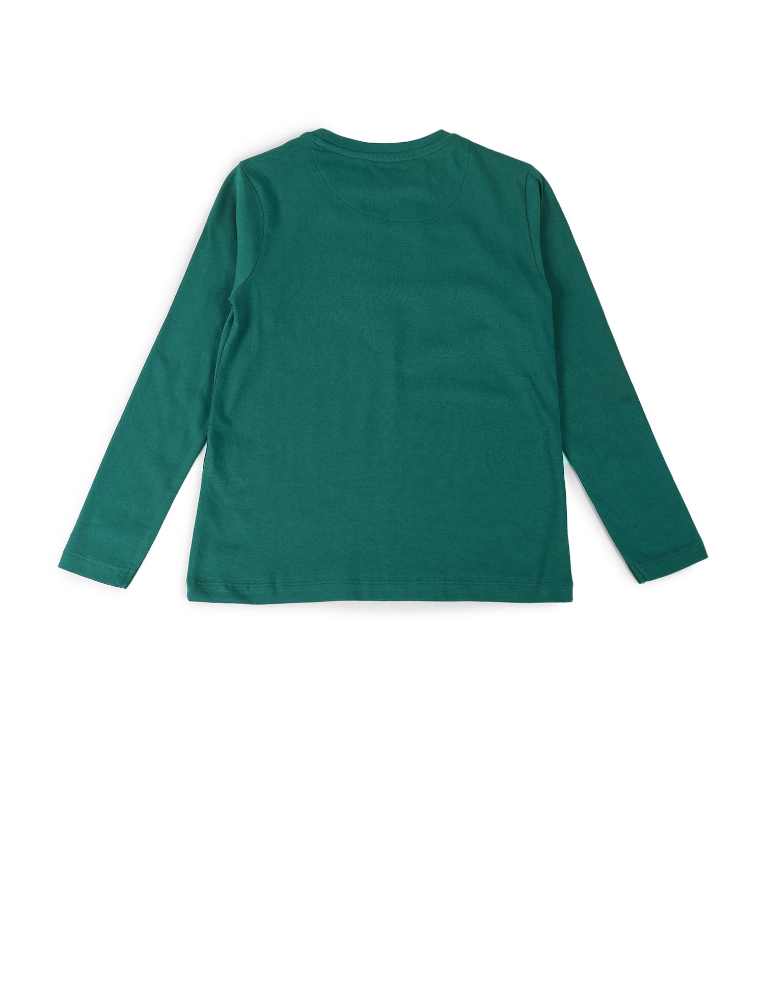 Boys Brand Printed Regular Fit T-Shirt Green - U.S. POLO ASSN. | Large