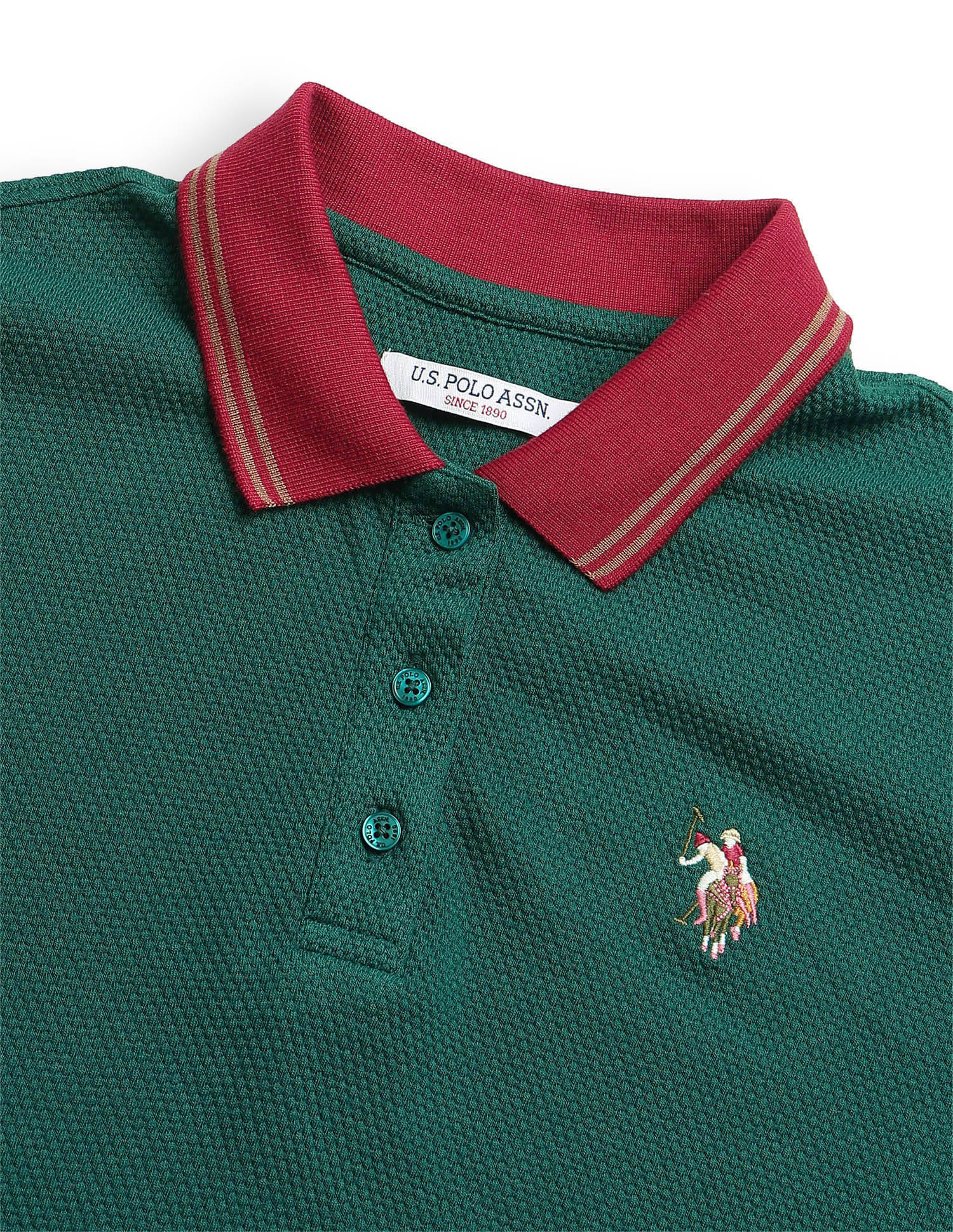 Relaxed Fit Contrast Collar Polo Shirt Green - U.S. Polo Assn. India | Large