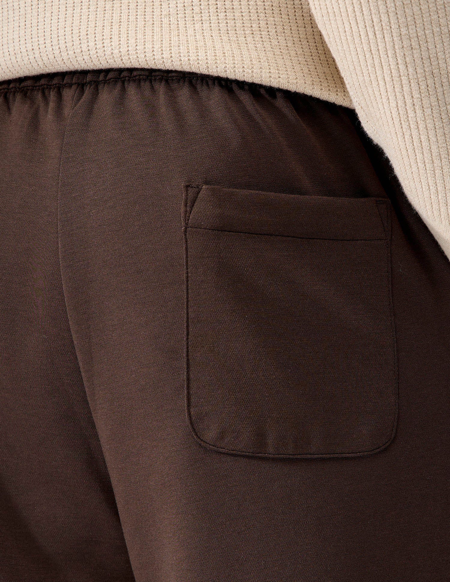 Solid Regular Fit Track Pants Brown - U.S. Polo Assn. India | Large