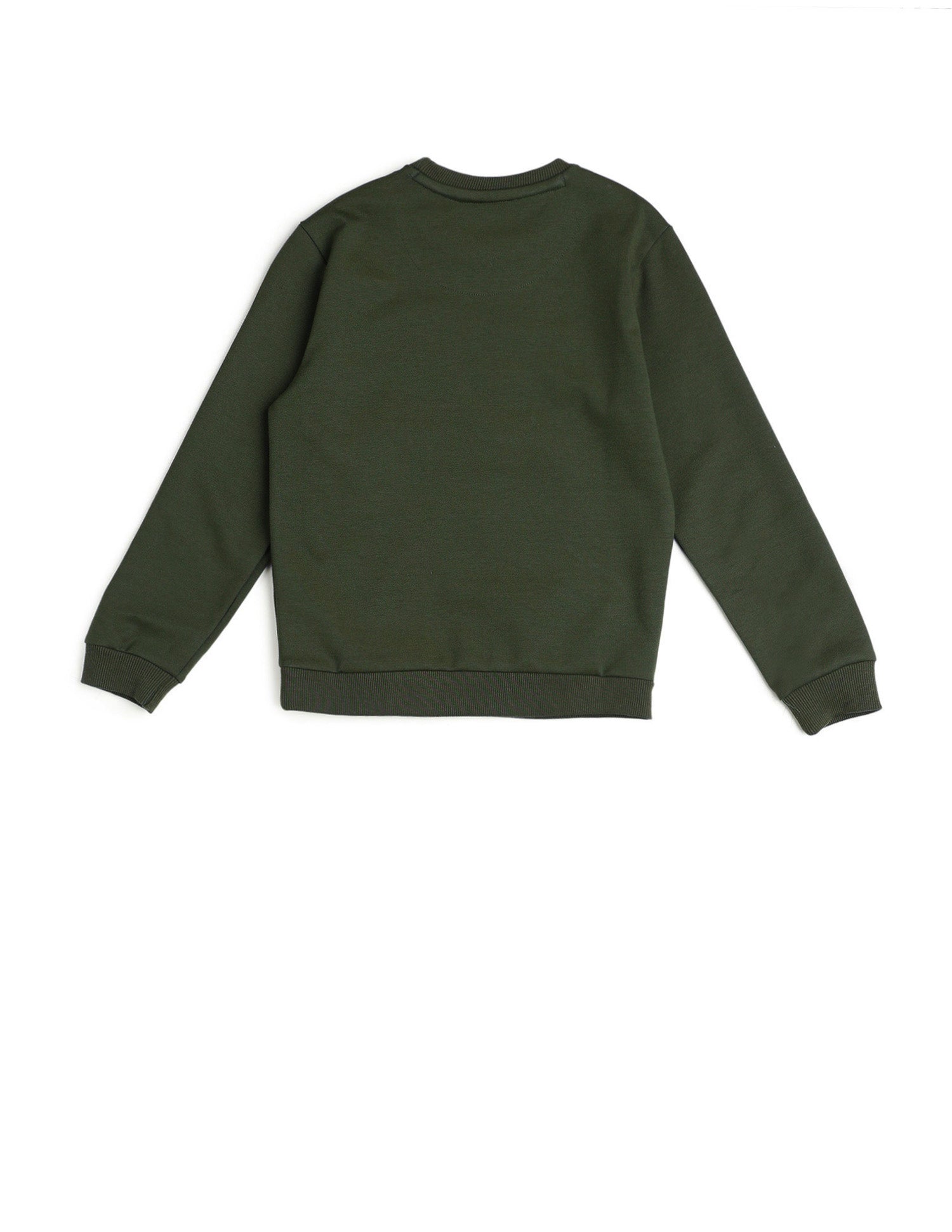 Boys Brand Embroidered Regular Fit Sweatshirt Olive - U.S. POLO ASSN. | Large