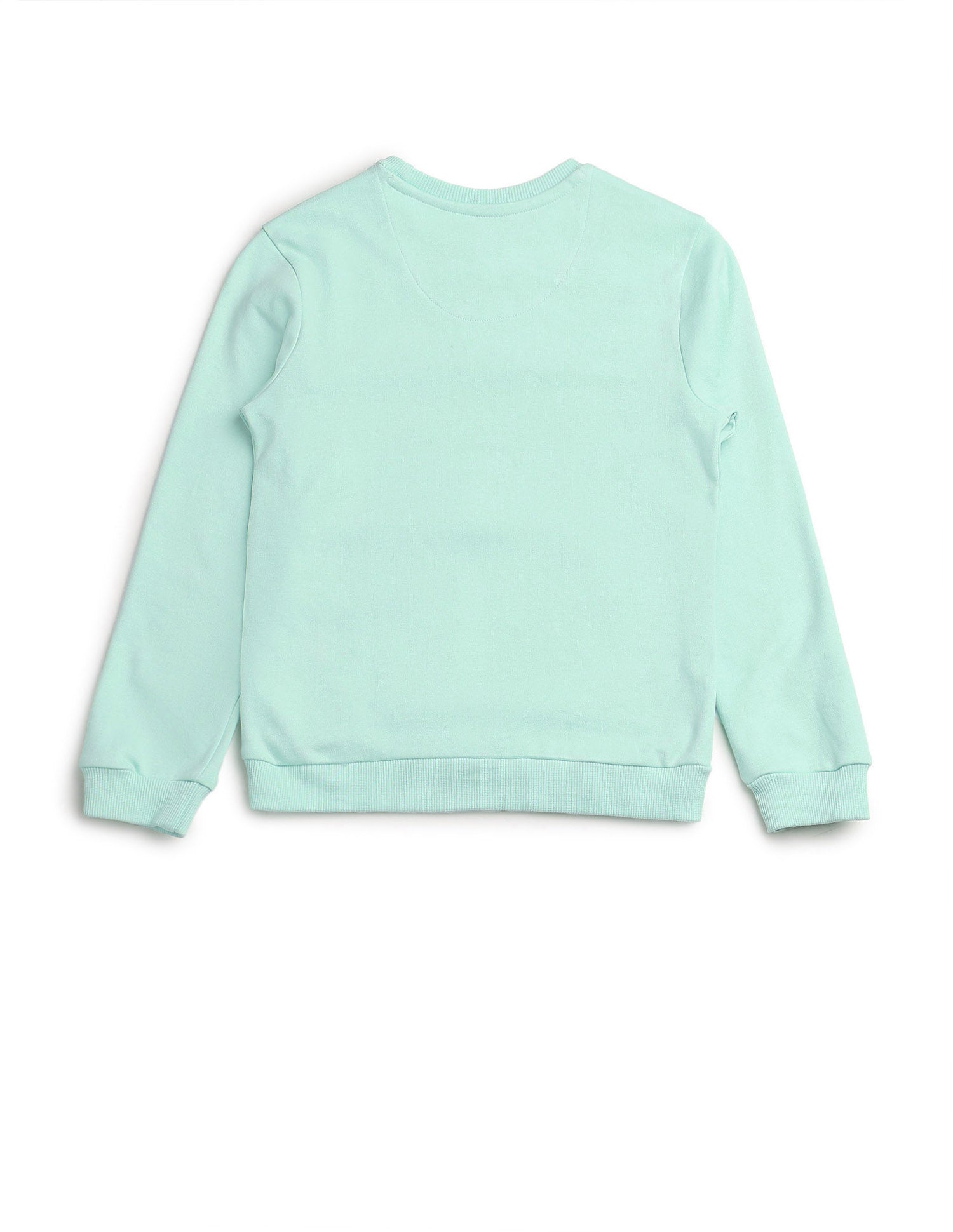 Boys Brand Embossed Regular Fit Sweatshirt Light Green - U.S. POLO ASSN. | Large