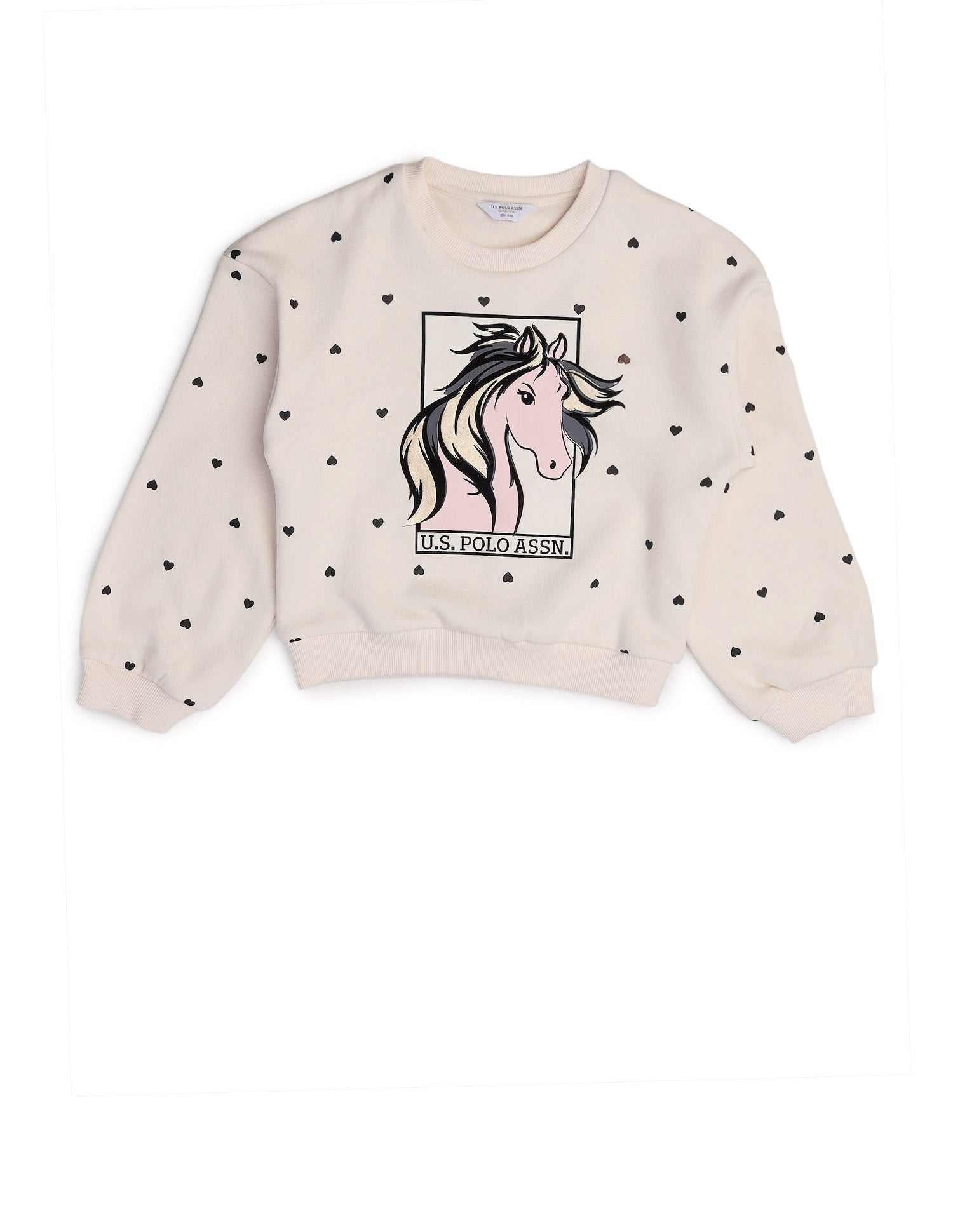 Graphic Printed Regular Fit Sweatshirt Beige - U.S. POLO ASSN. | Large