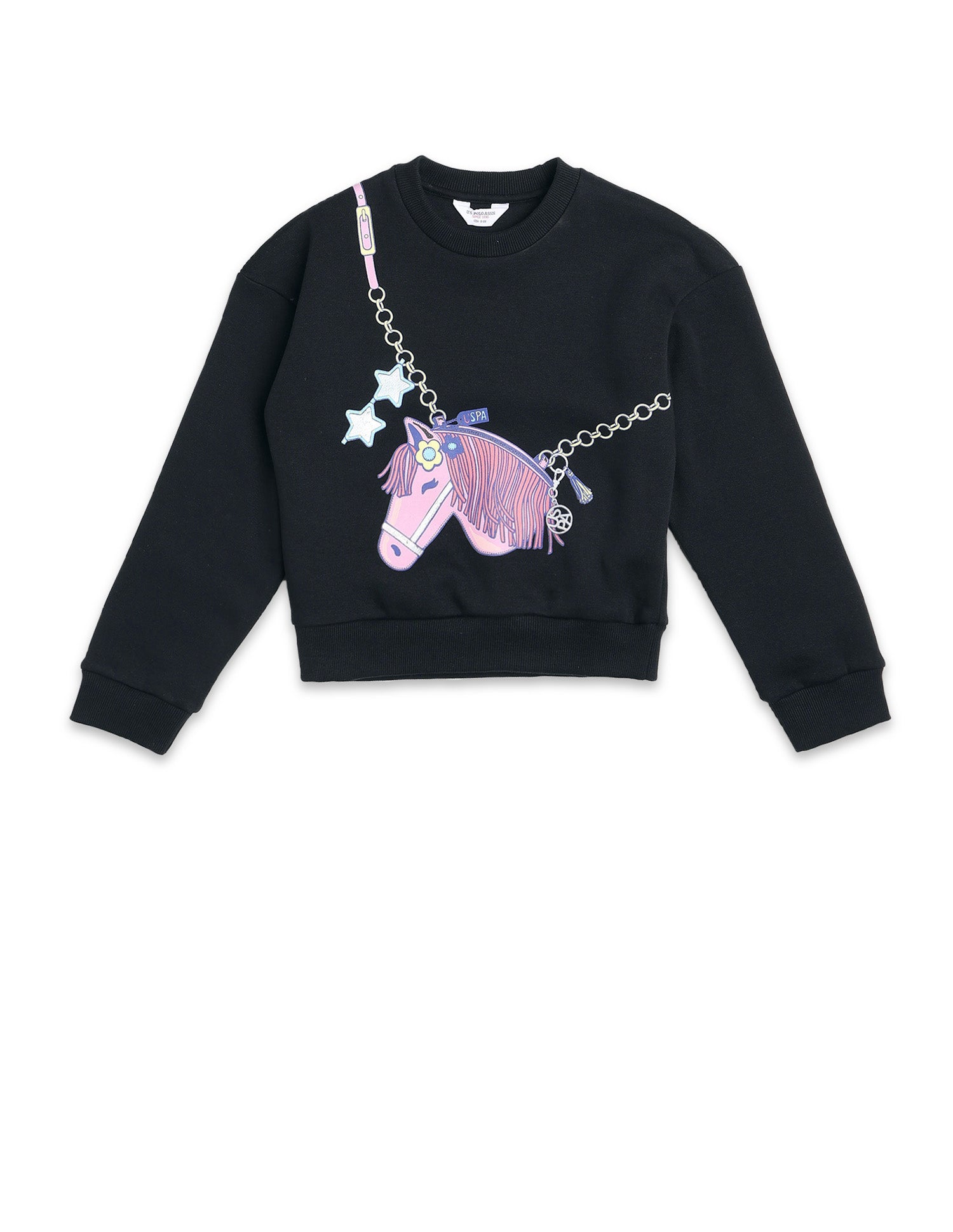 Graphic Printed Regular Fit Sweatshirt Black - U.S. POLO ASSN. | Large