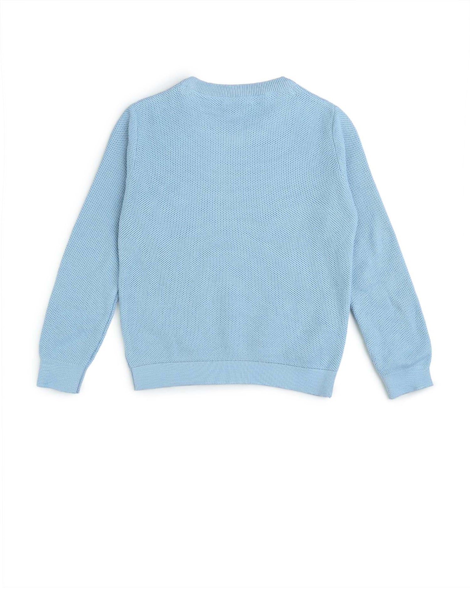 Boys Textured Regular Fit Sweater Light Blue - U.S. POLO ASSN. | Large