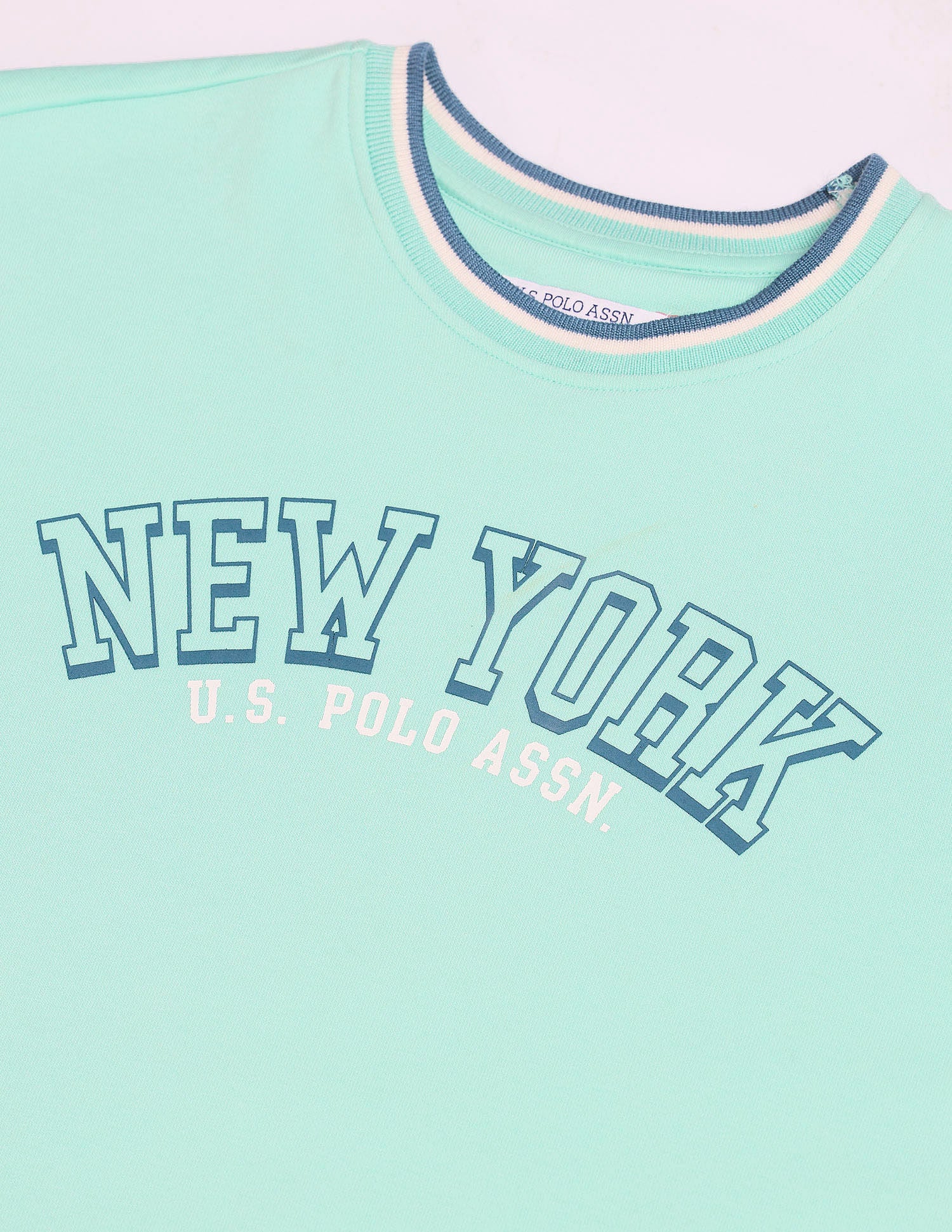 Brand Printed Regular Fit Sweatshirt Mint - U.S. Polo Assn. India | Large