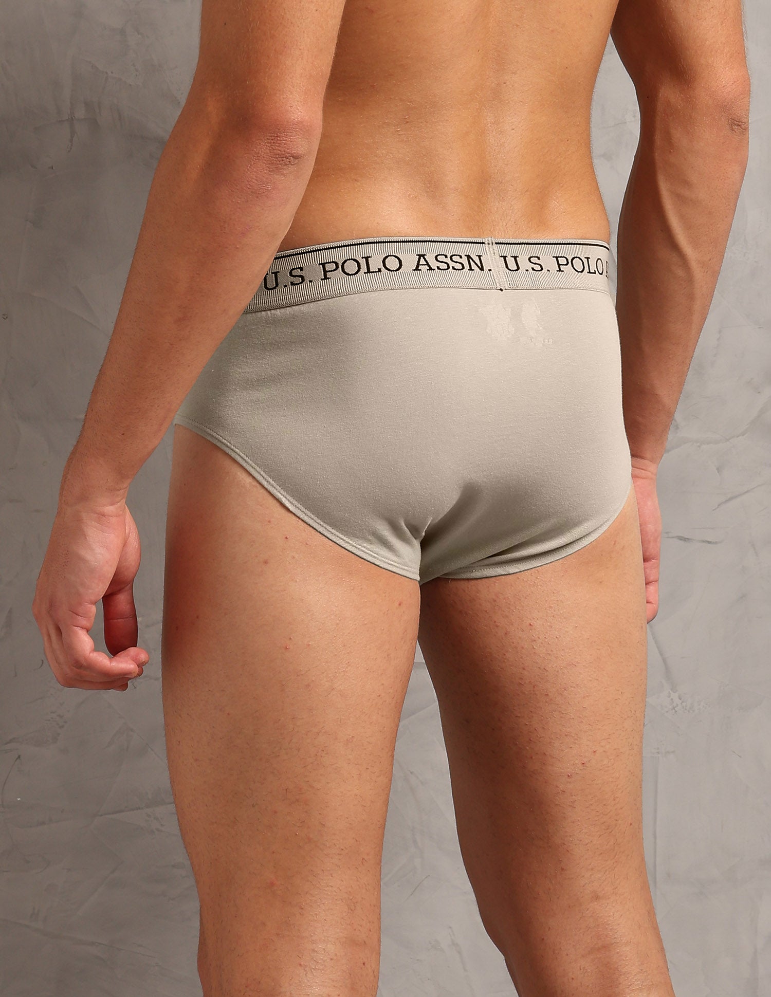 Moisture Wicking Cotton OEB17 Briefs - Pack Of 3 Aop Stone Blue, Aop Antler and Oatmeal Solid - U.S. POLO ASSN. | Large