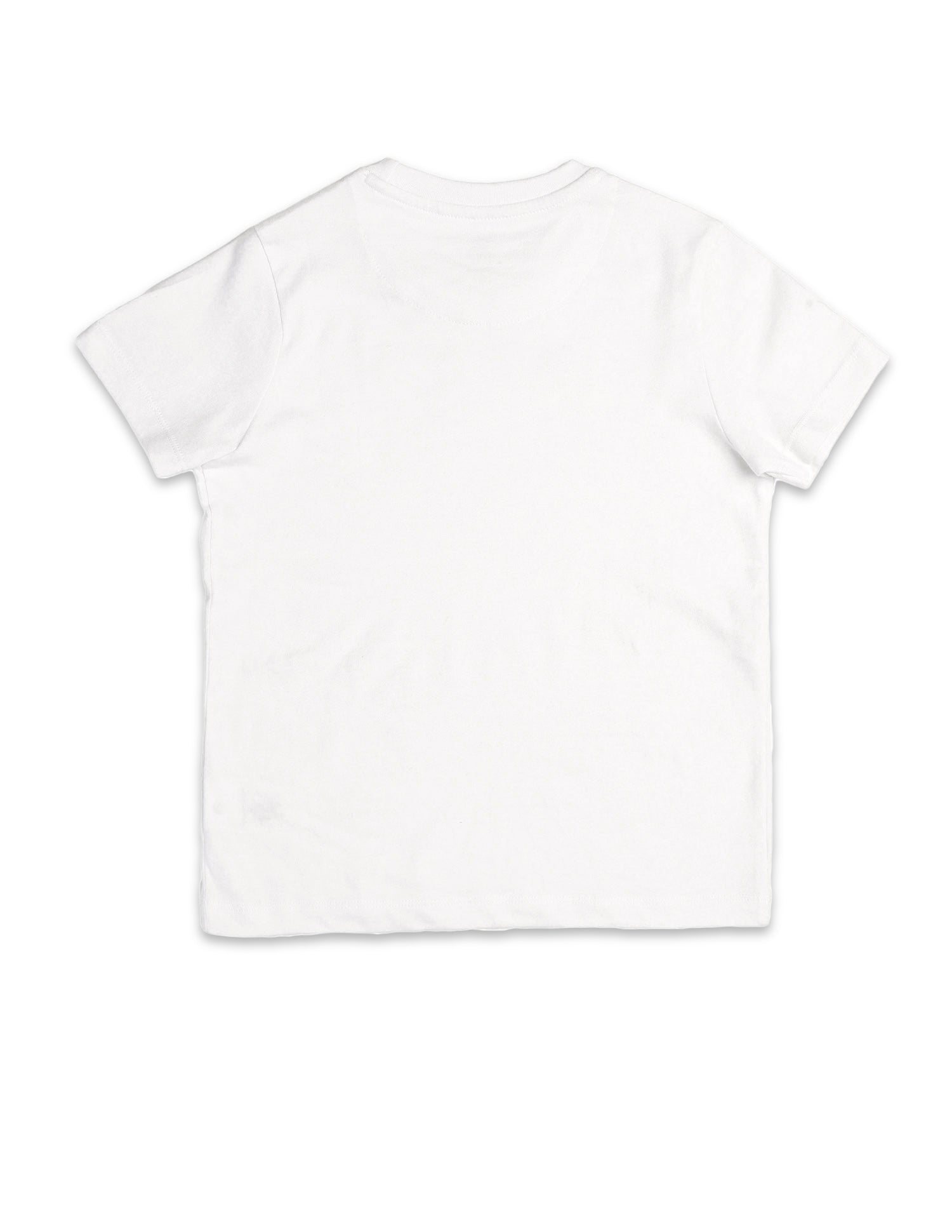 Boys Solid Regular Fit T-Shirt White - U.S. POLO ASSN. | Large