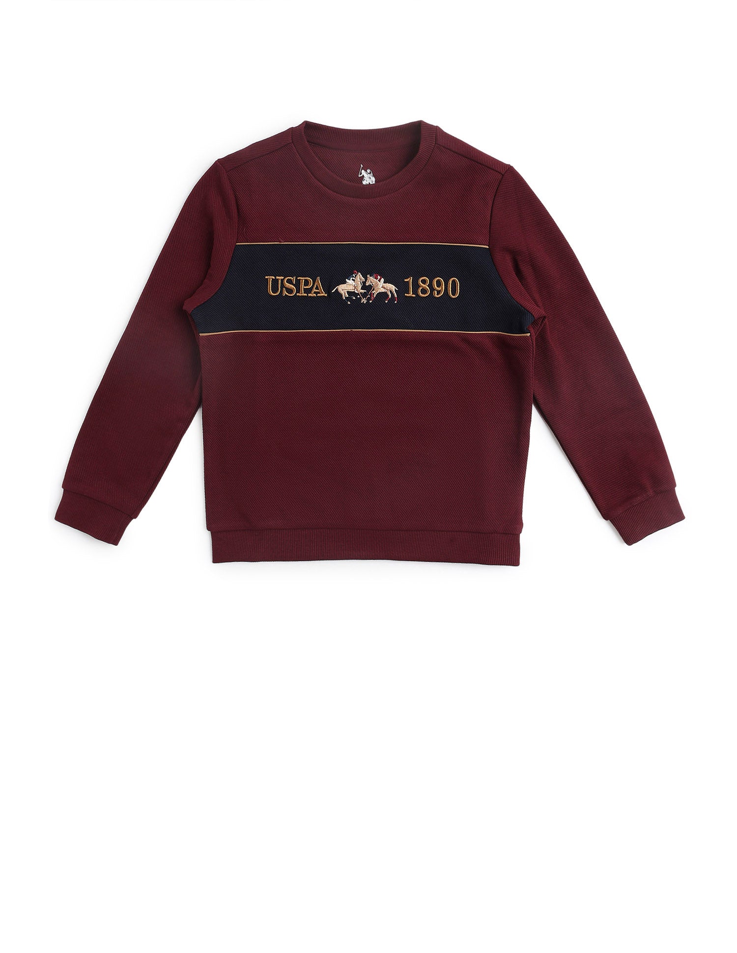 Boys Brand Embroidered Mini Me Sweatshirt Dark Red - U.S. POLO ASSN. | Large