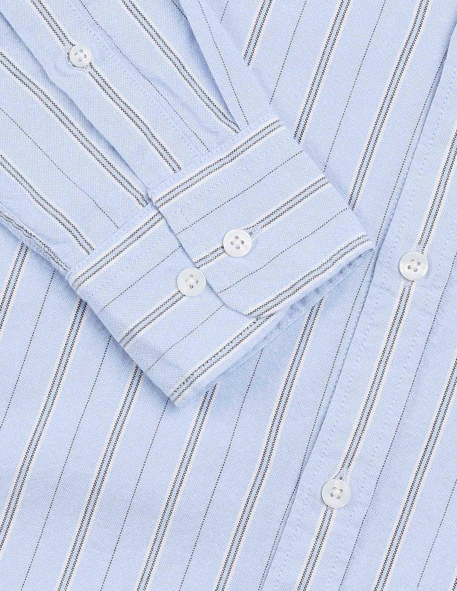 Vertical Striped Oxford Shirt Light Blue - U.S. Polo Assn. India | Large