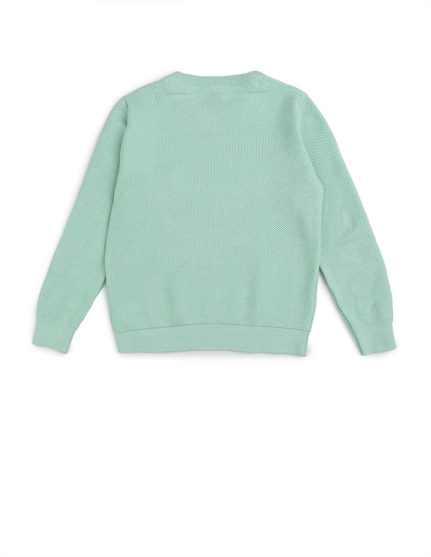 Boys Textured Regular Fit Sweater Light Green - U.S. POLO ASSN. | Large