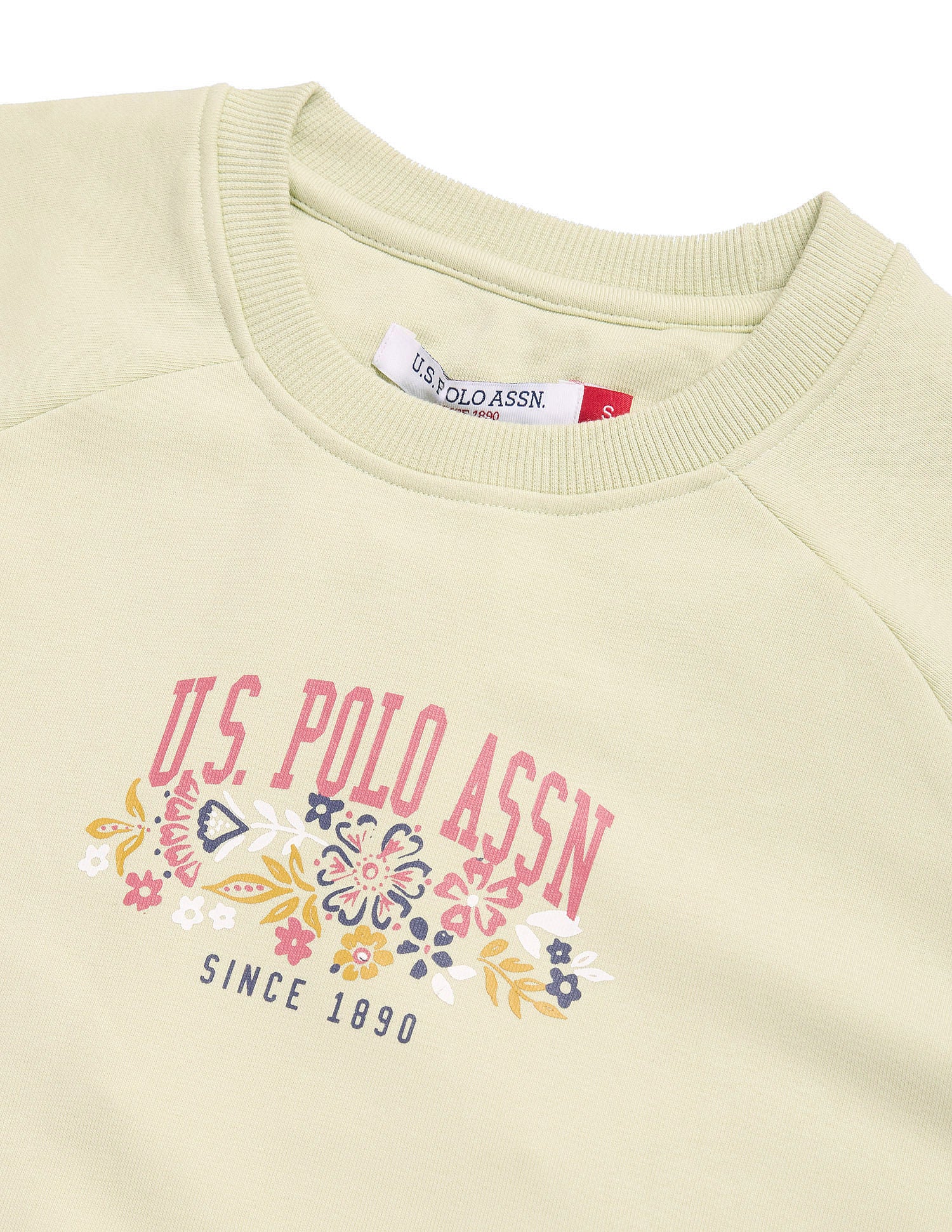 Brand Print Raglan Sweatshirt Mint - U.S. Polo Assn. India | Large
