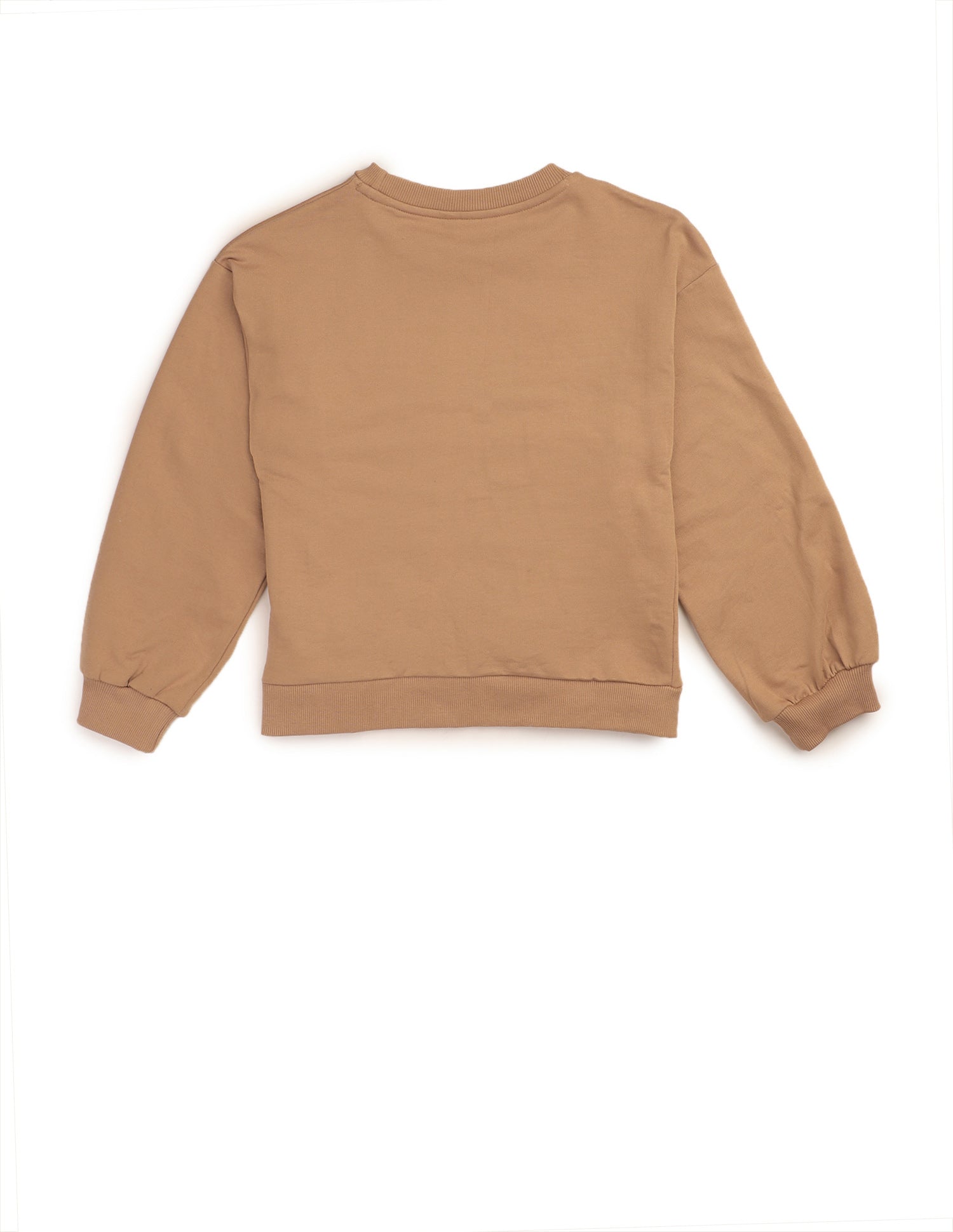 Girls Solid Comfort Fit Sweatshirt Light Brown - U.S. POLO ASSN. | Large