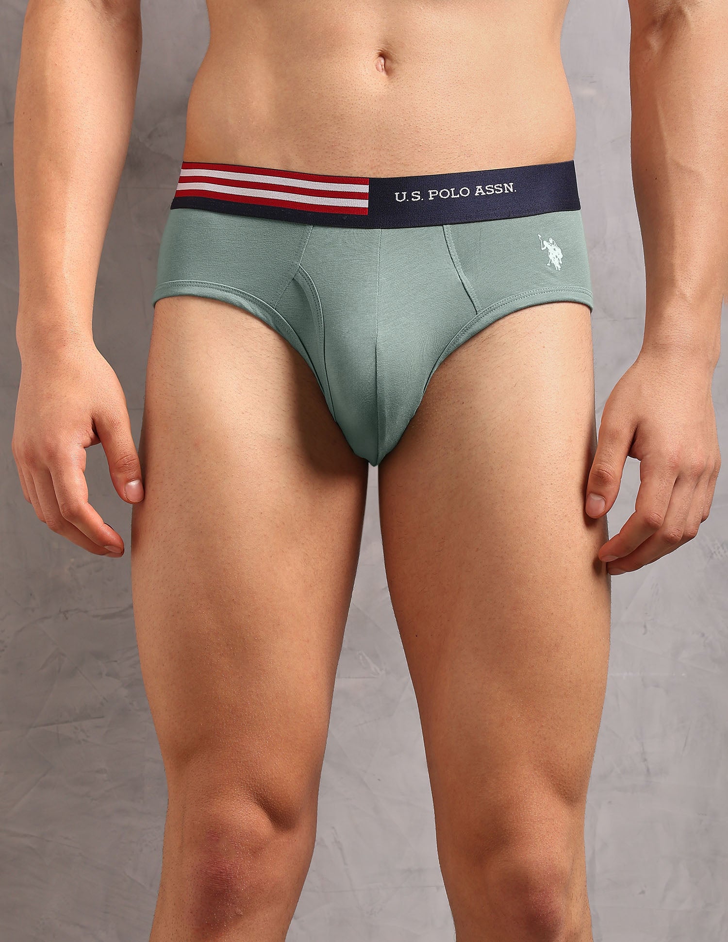 Striped Waistband OEB19 Briefs - Pack Of 2 Uspa Navy and Chinon Green - U.S. Polo Assn. India | Large