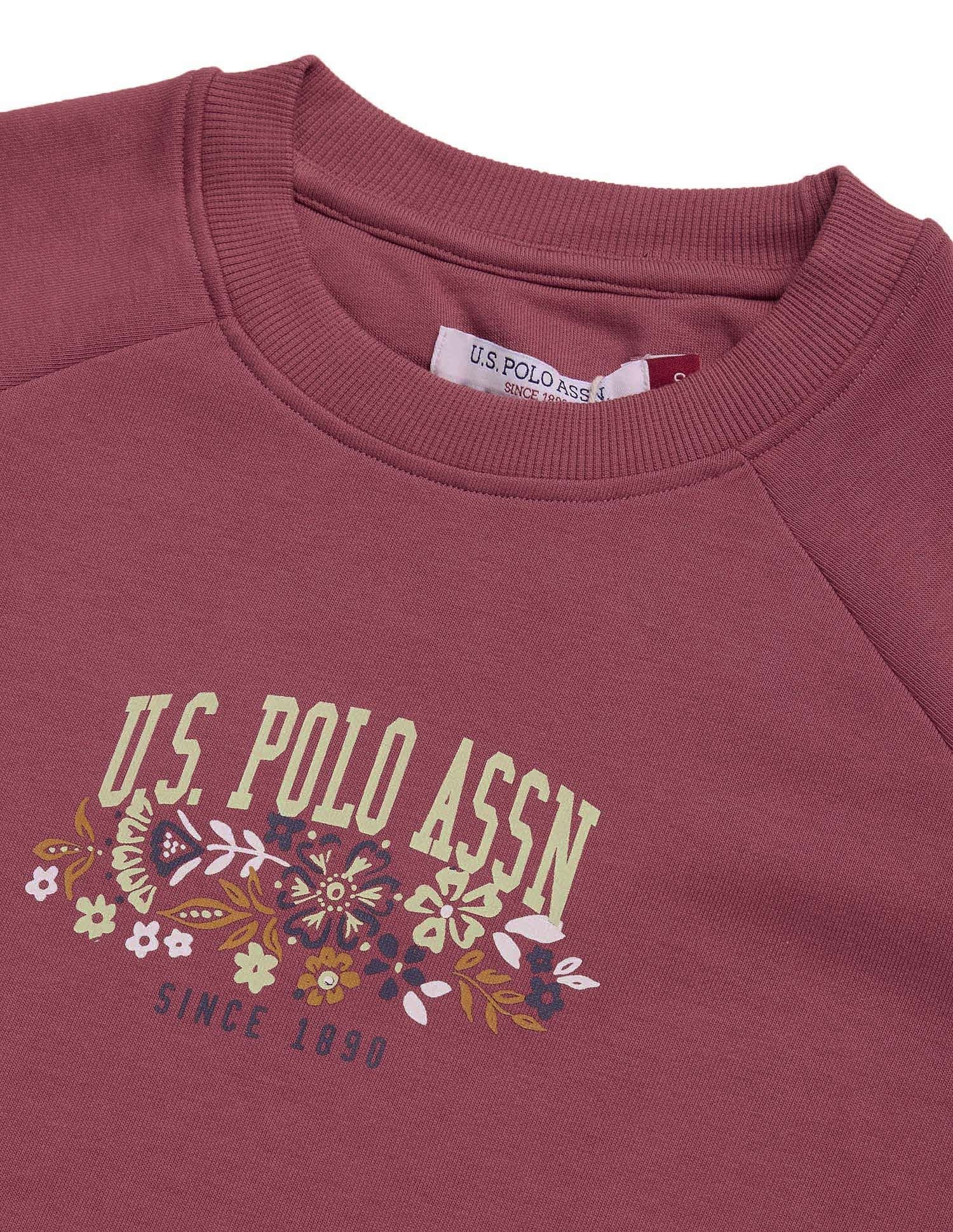 Brand Print Raglan Sleeve Sweatshirt Pink - U.S. POLO ASSN. | Large