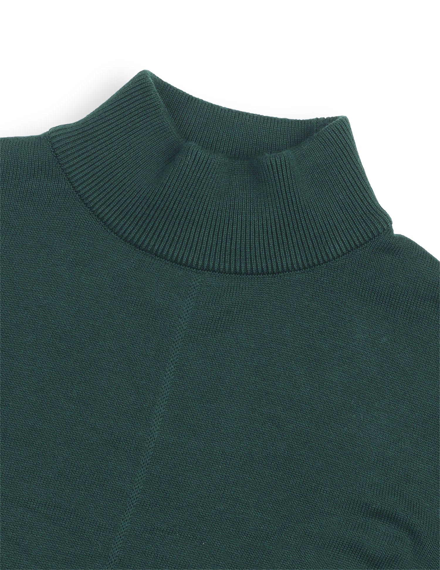 Solid Regular Fit Sweater Green - U.S. Polo Assn. India | Large