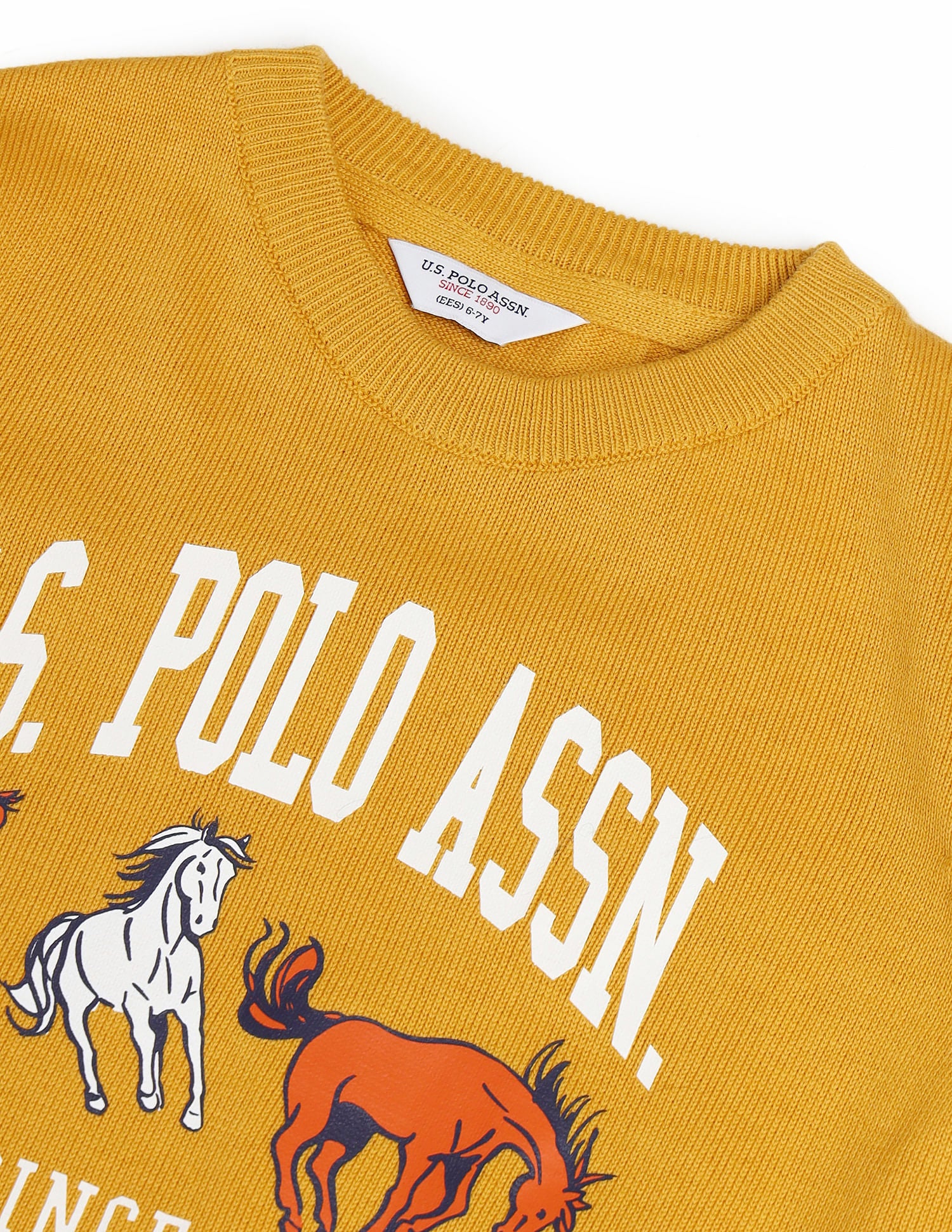 Boys Printed Cotton Sweater Yellow - U.S. POLO ASSN. | Large