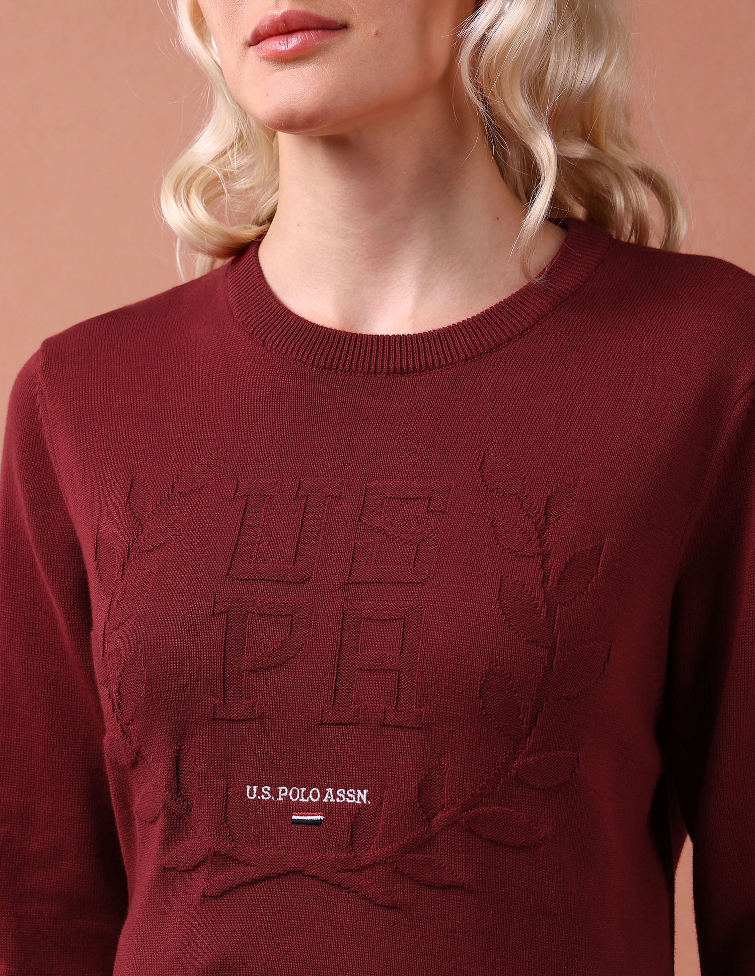 Crest Logo Regular Fit Sweater Red - U.S. Polo Assn. India | Large