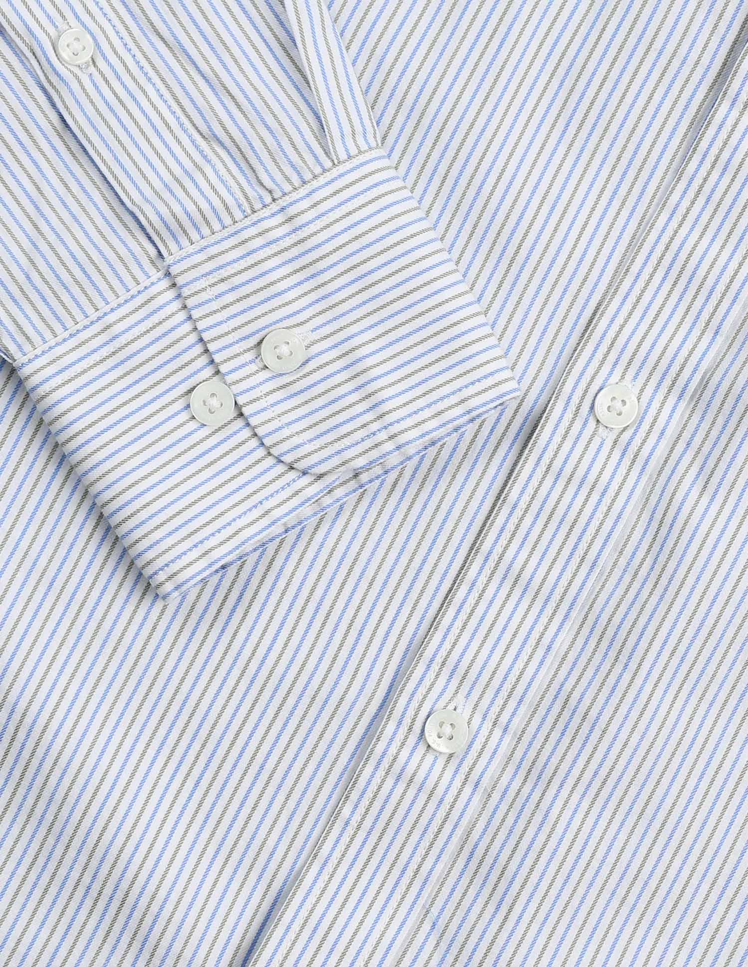 Vertical Striped Pure Cotton Shirt Blue - U.S. Polo Assn. India | Large