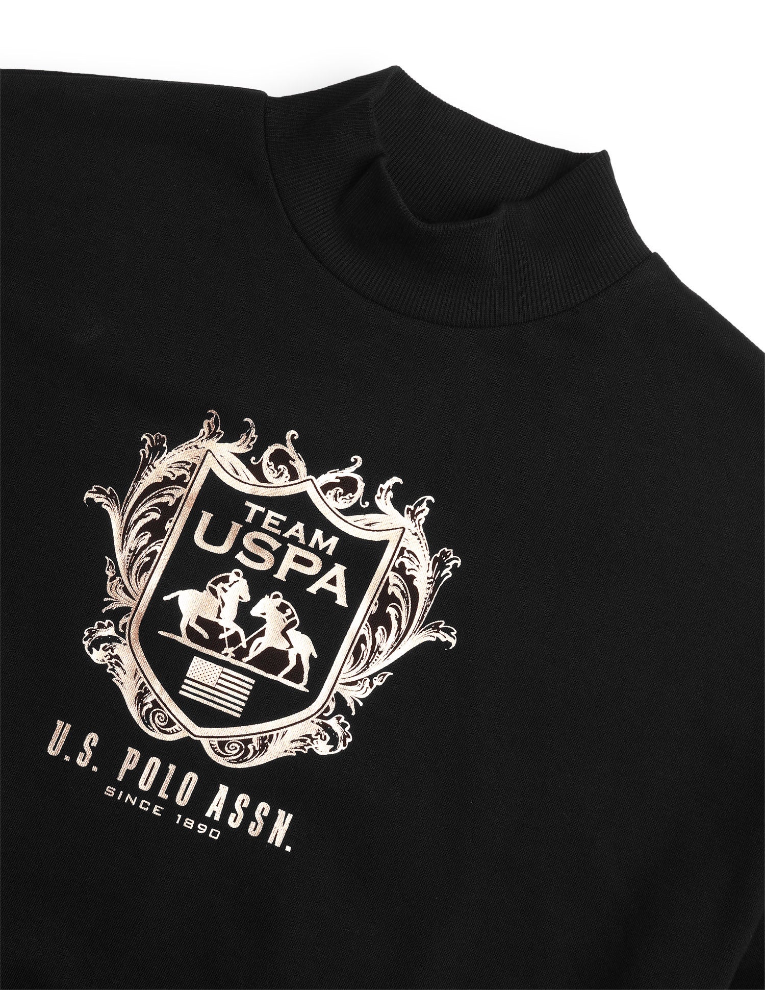 Graphic Brand Printed Oversized Fit Sweatshirt Black - U.S. Polo Assn. India | Large