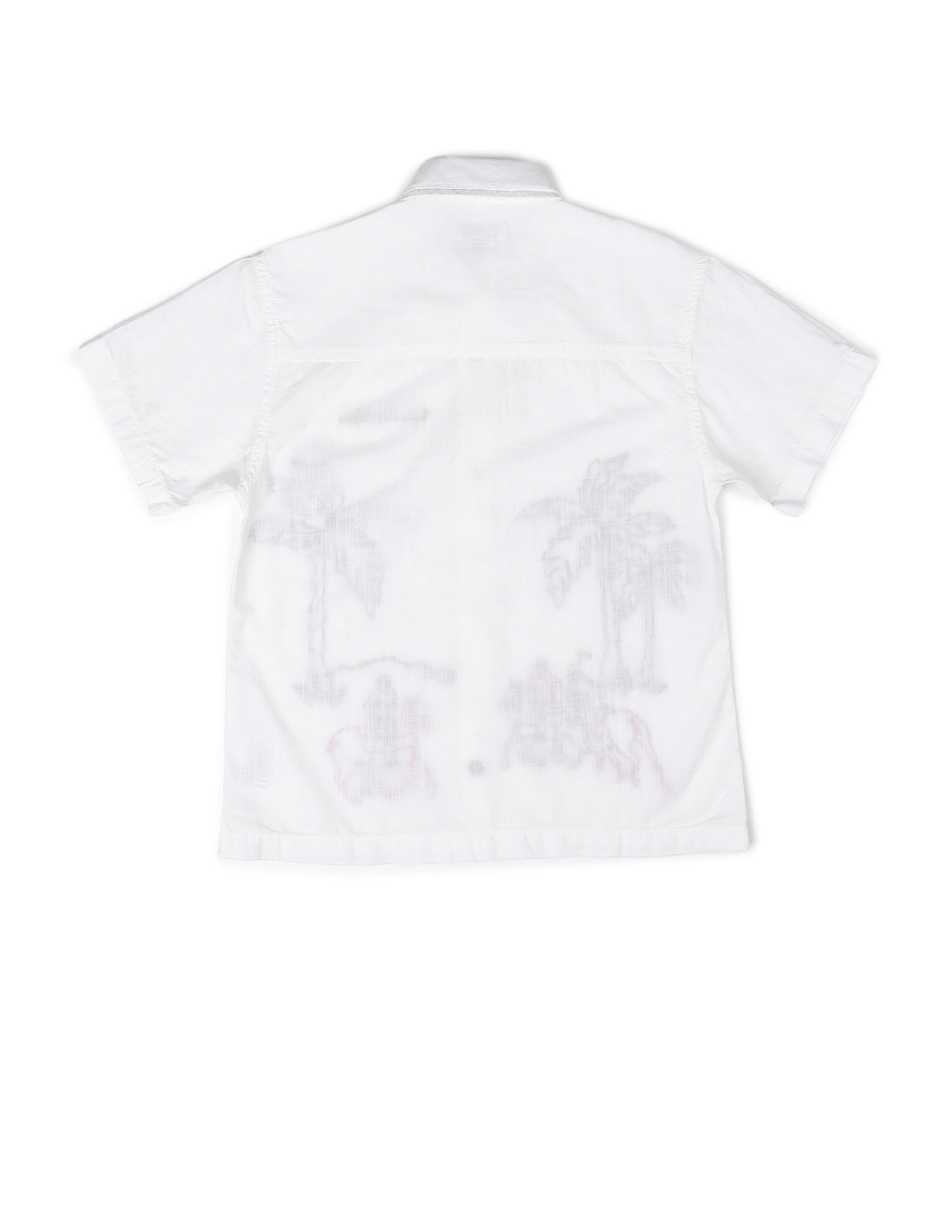 Boys Embroidered Pure Cotton Shirt White - U.S. POLO ASSN. | Large