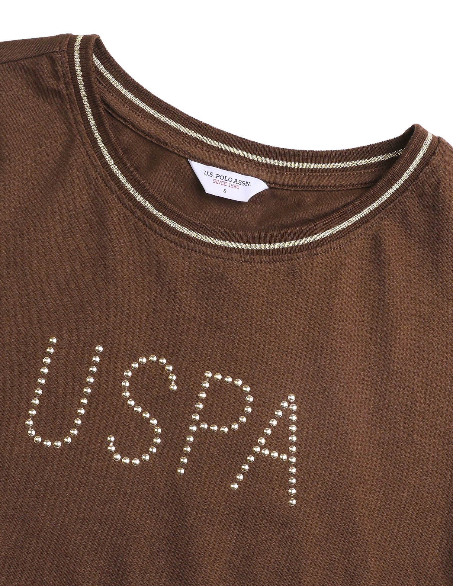 Brand Embellished Regular Fit T-Shirt Brown - U.S. Polo Assn. India | Large