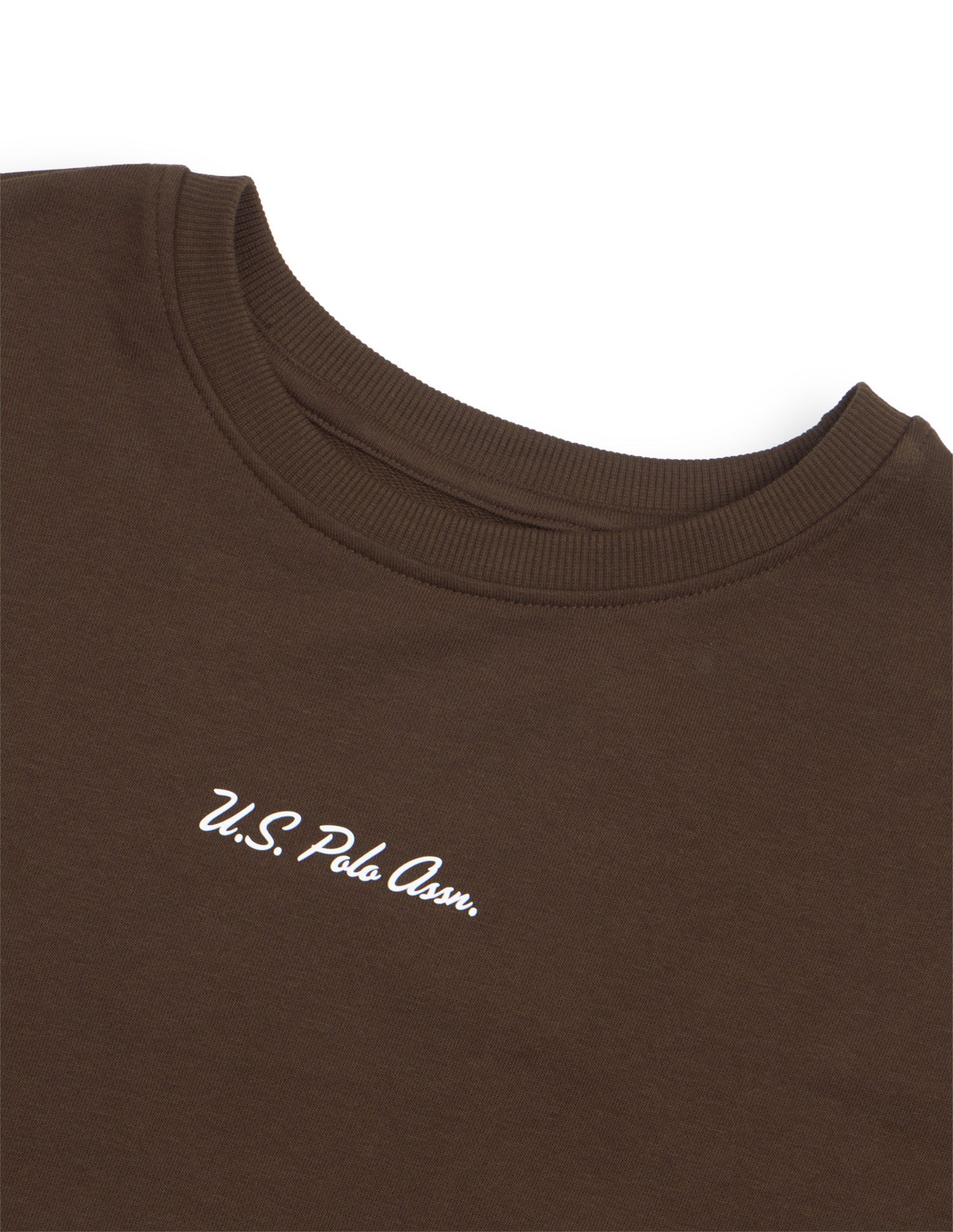Solid Relaxed Fit Sweatshirt Brown - U.S. Polo Assn. India | Large