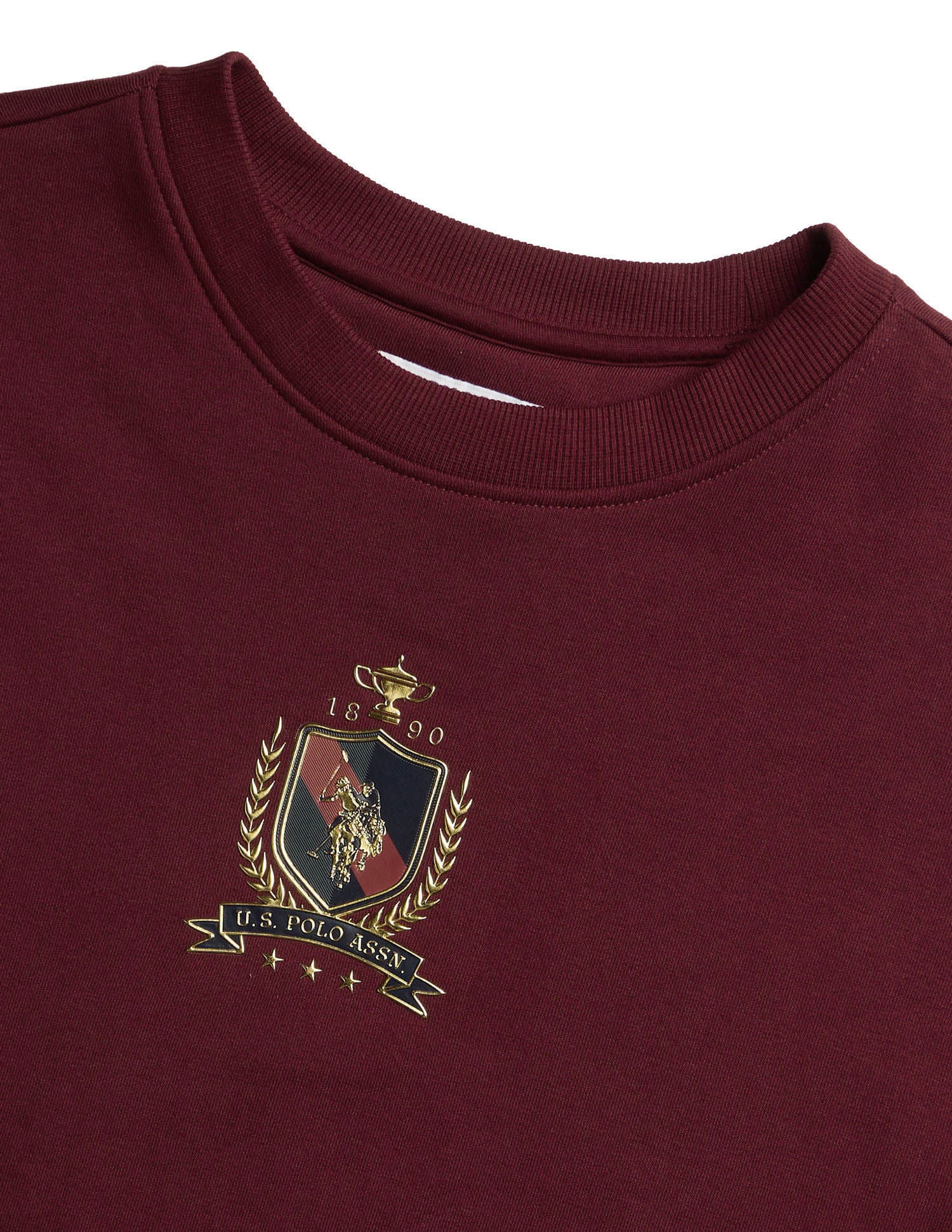 Brand Applique Regular Fit Sweatshirt Purple - U.S. POLO ASSN. | Large