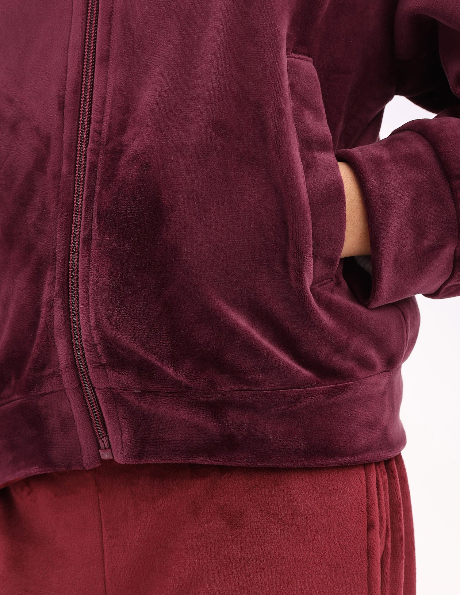 Solid Regular Fit Sweatshirt Wine - U.S. Polo Assn. India | Large