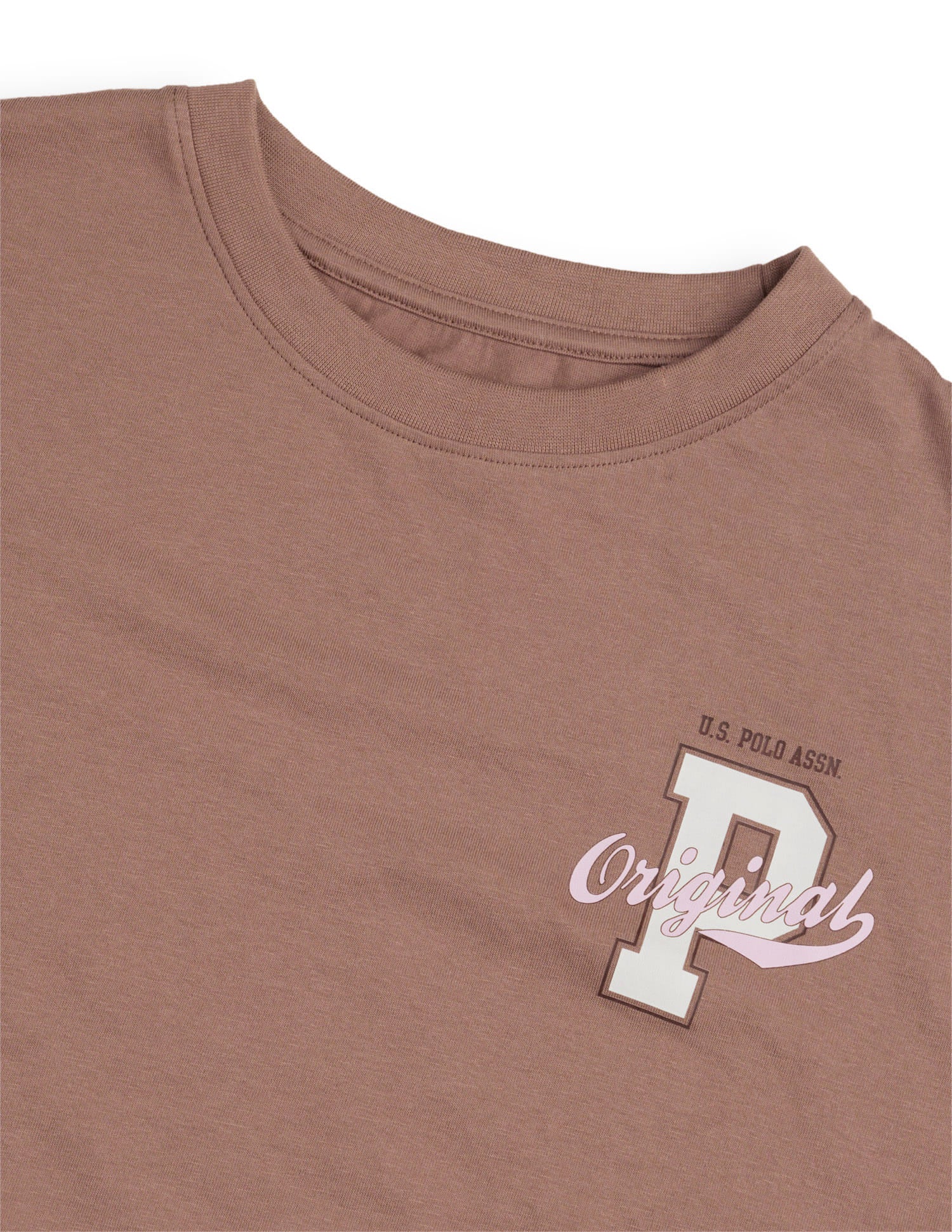 Brand Printed Regular Fit T-Shirt Brown - U.S. Polo Assn. India | Large