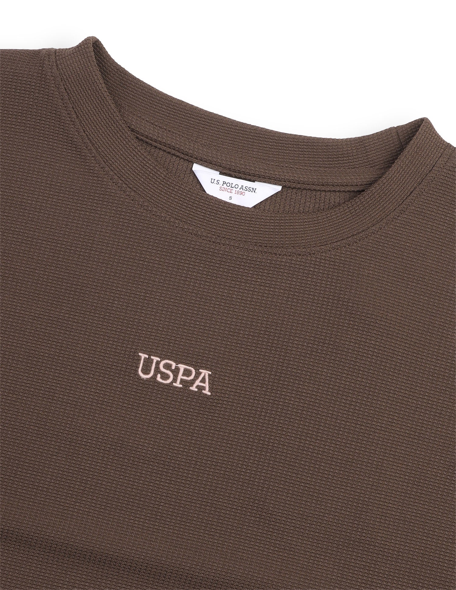 Solid Regular Fit T-Shirt Brown - U.S. Polo Assn. India | Large