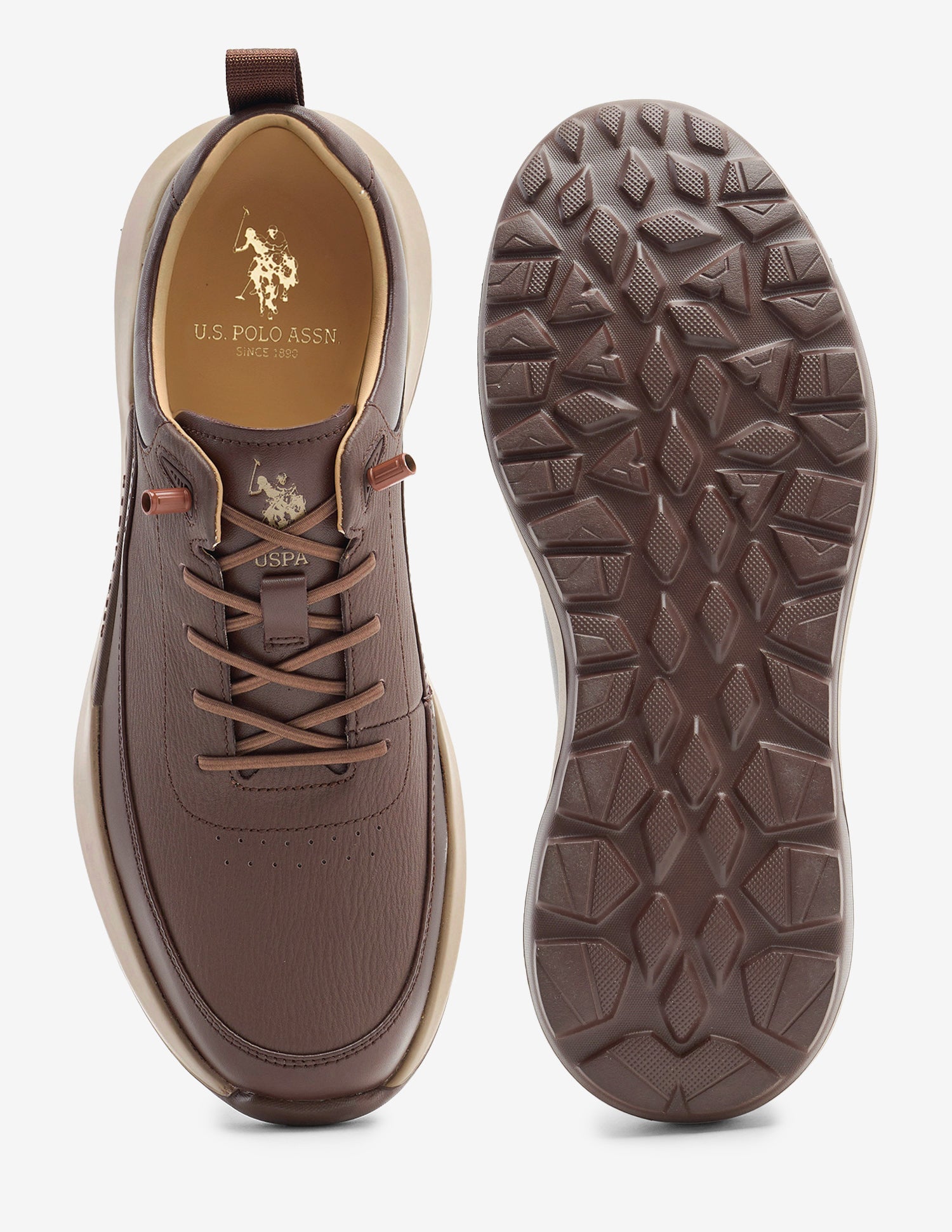 Round Toe Lace Ups Ansel 2.0 Sneakers Dark Brown - U.S. Polo Assn. India | Large
