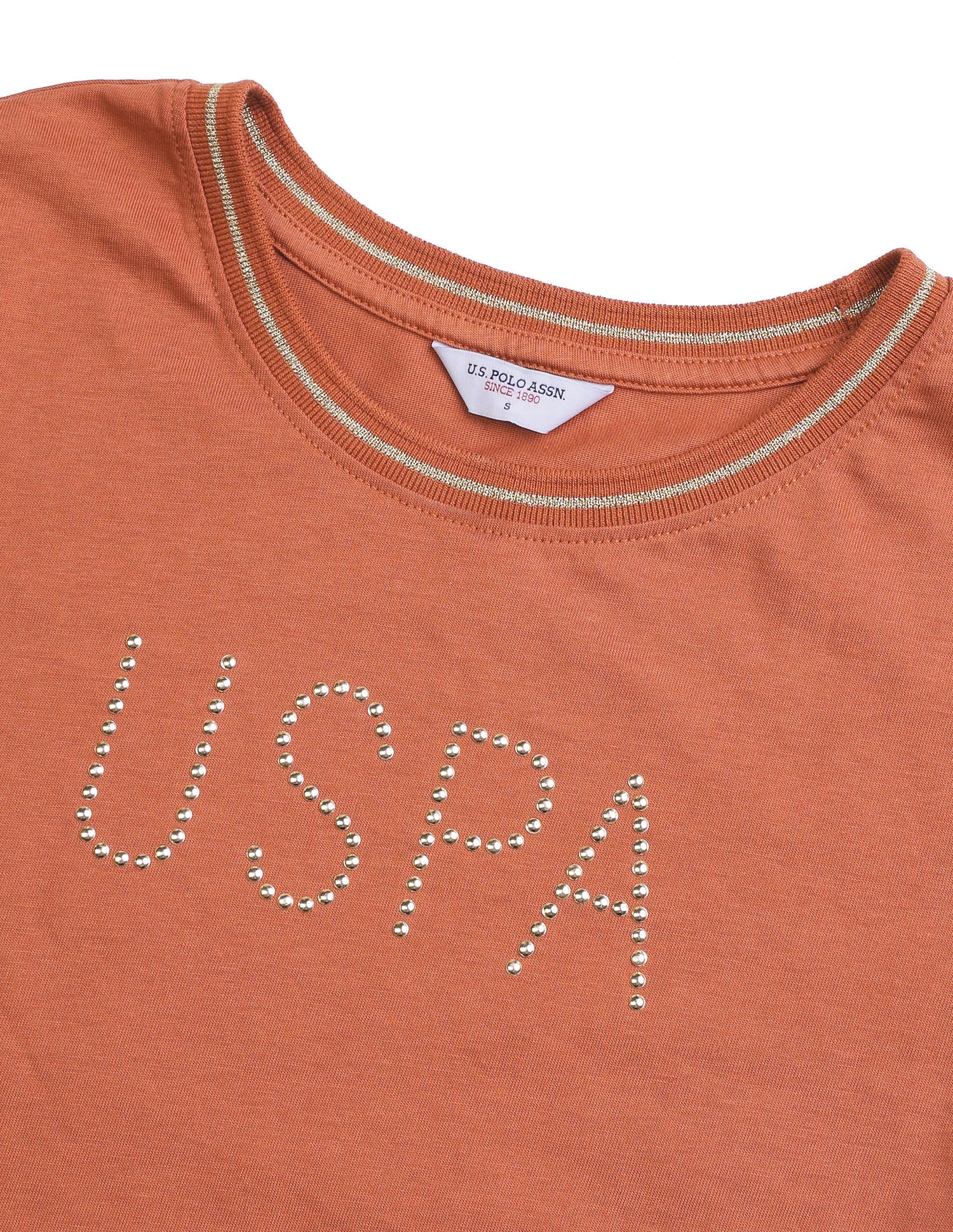 Brand Embellished Regular Fit T-Shirt Rust - U.S. Polo Assn. India | Large